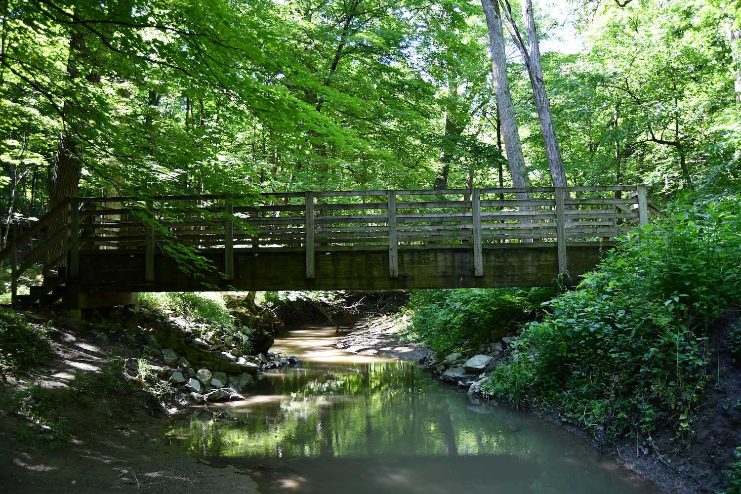 A wooden bridge spanning a creek in a forest.
