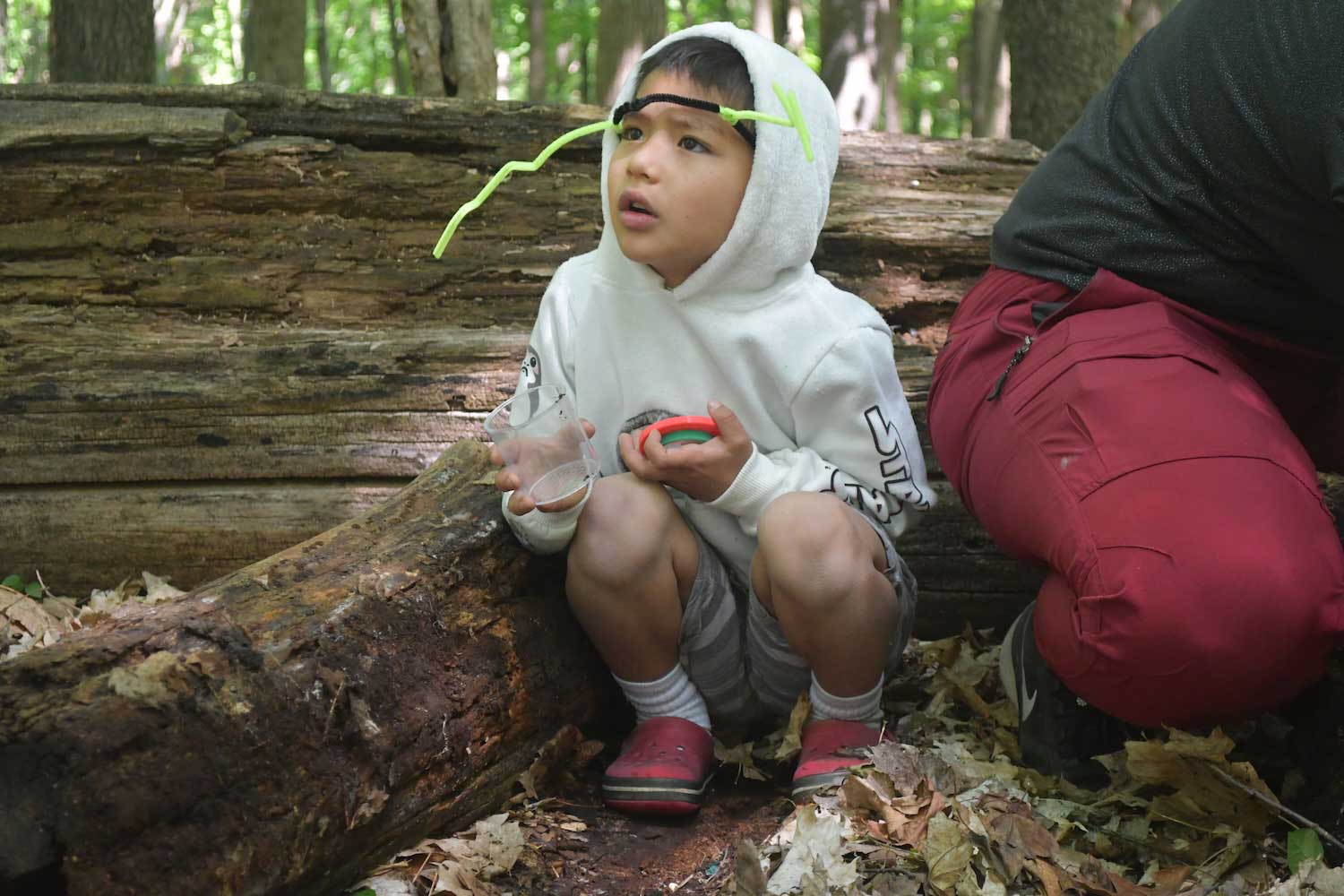 A child crouched down next to a log holding an open specimen jar in his hands.