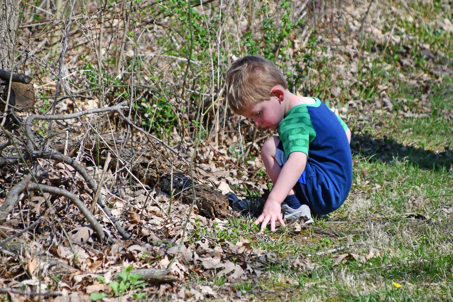 A child kneeling on the ground examining the grass and plants.