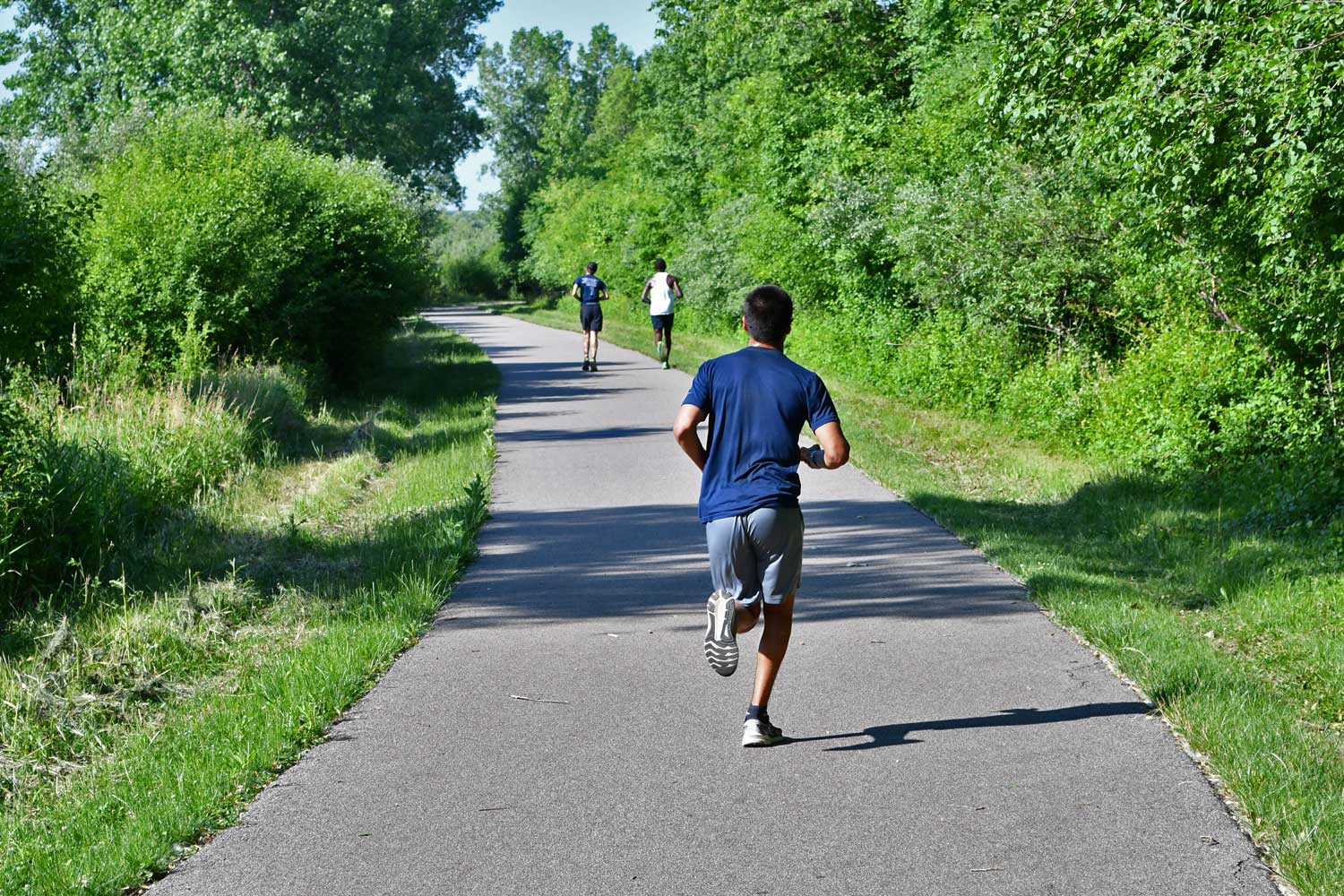 People running on a paved trail lined by grasses and trees.