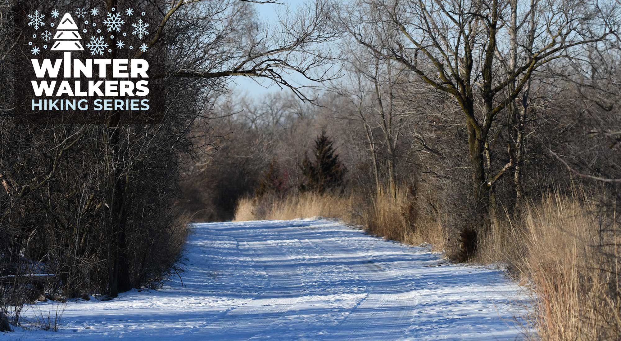 A snow-covered trail lined by bare trees.