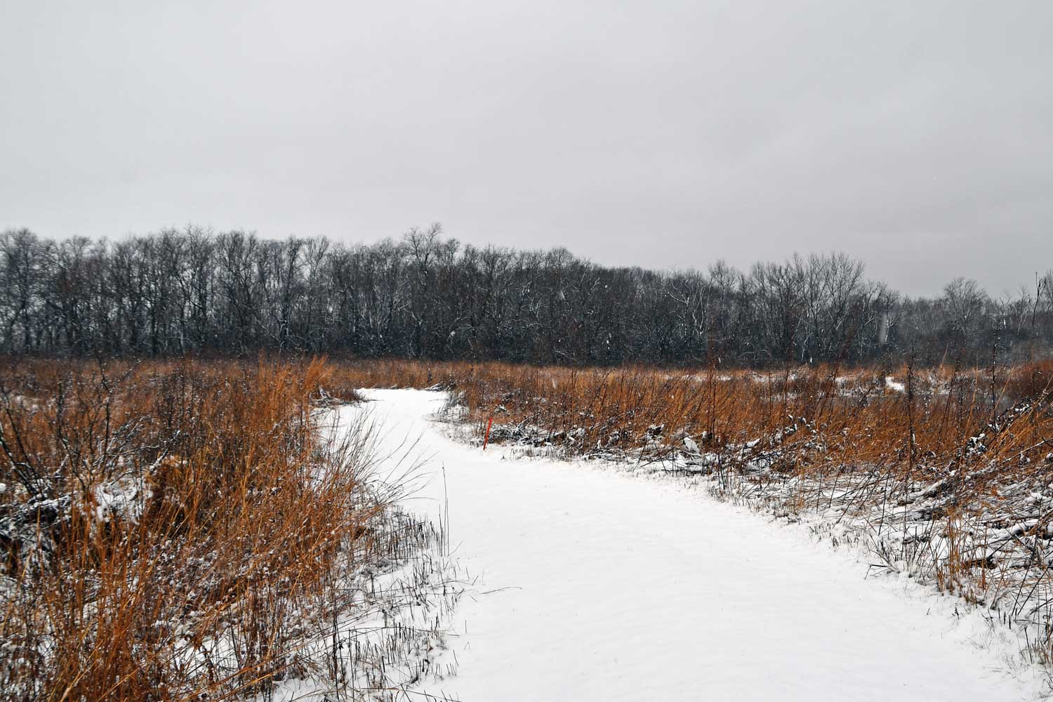 Snow falling on a prairie trail.