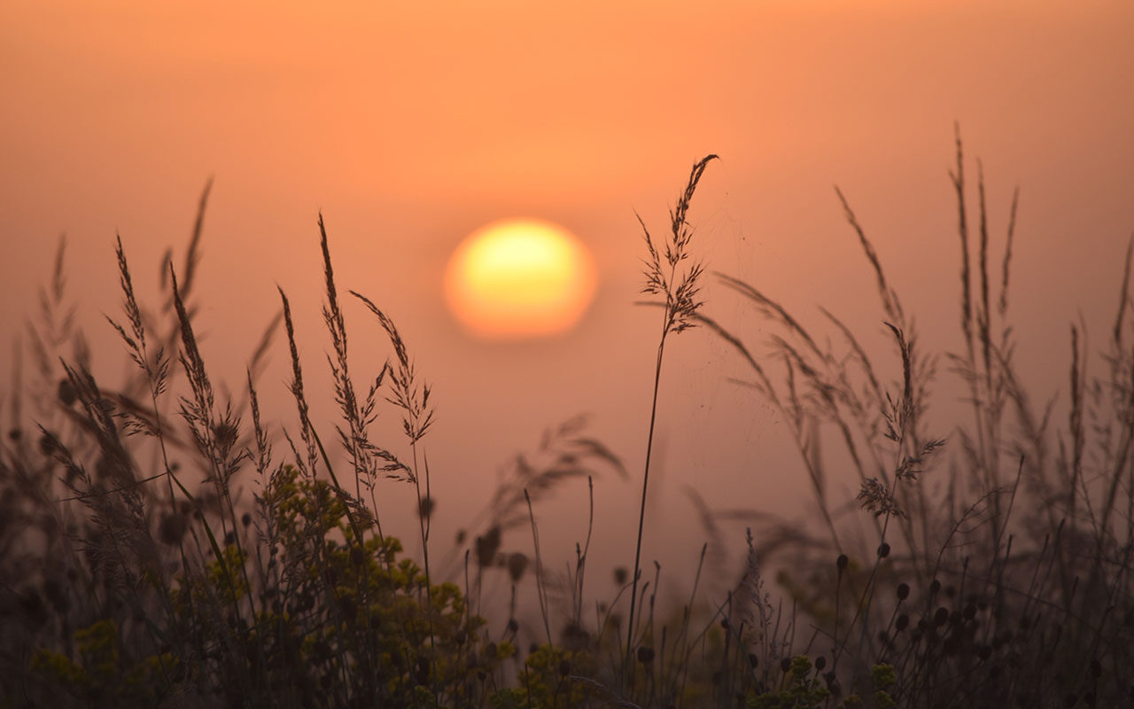 A sunset at Prairie Bluff Preserve.