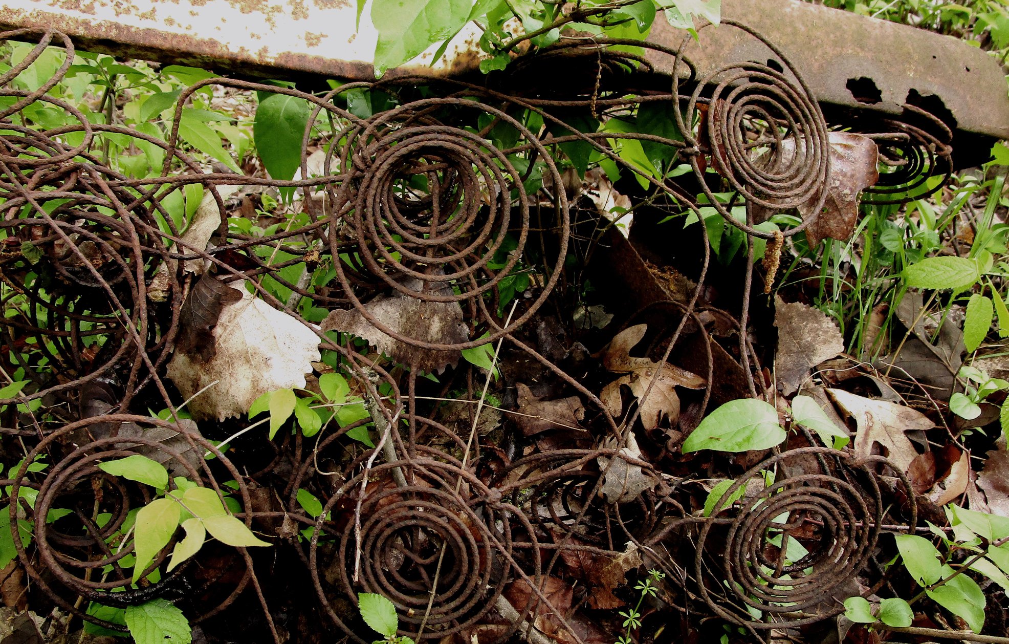 Old metal dumped in a forest preserve