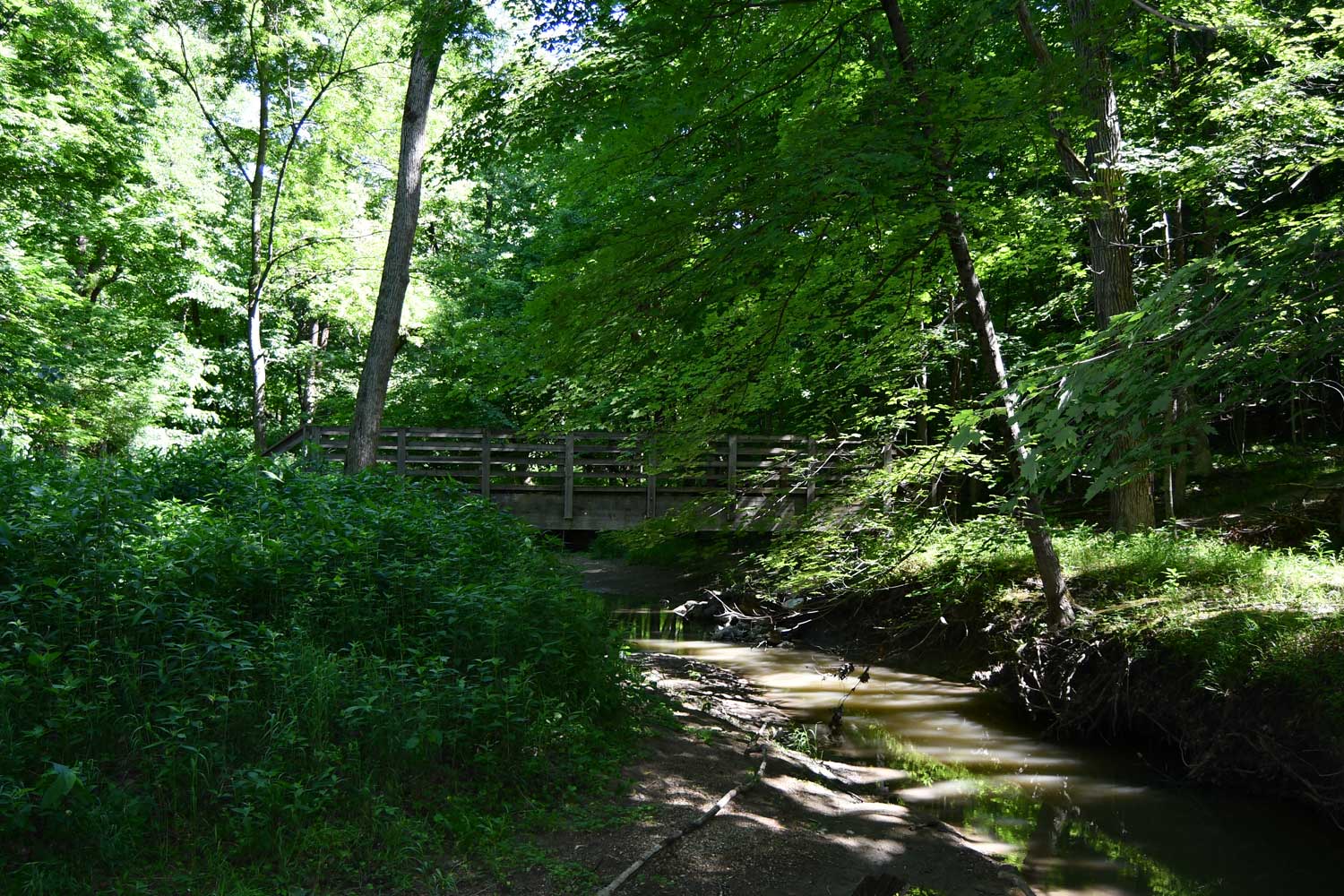 A wooden bridge spanning a creek in a forest.