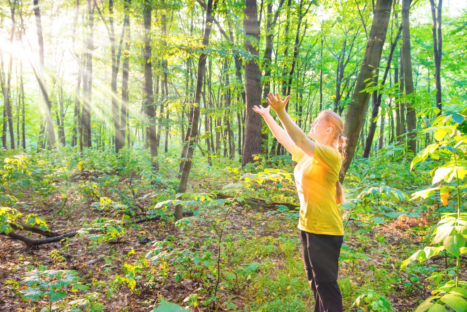 A person standing in a forest with arms outstretched. Rays of sunlight are streaming though the trees.