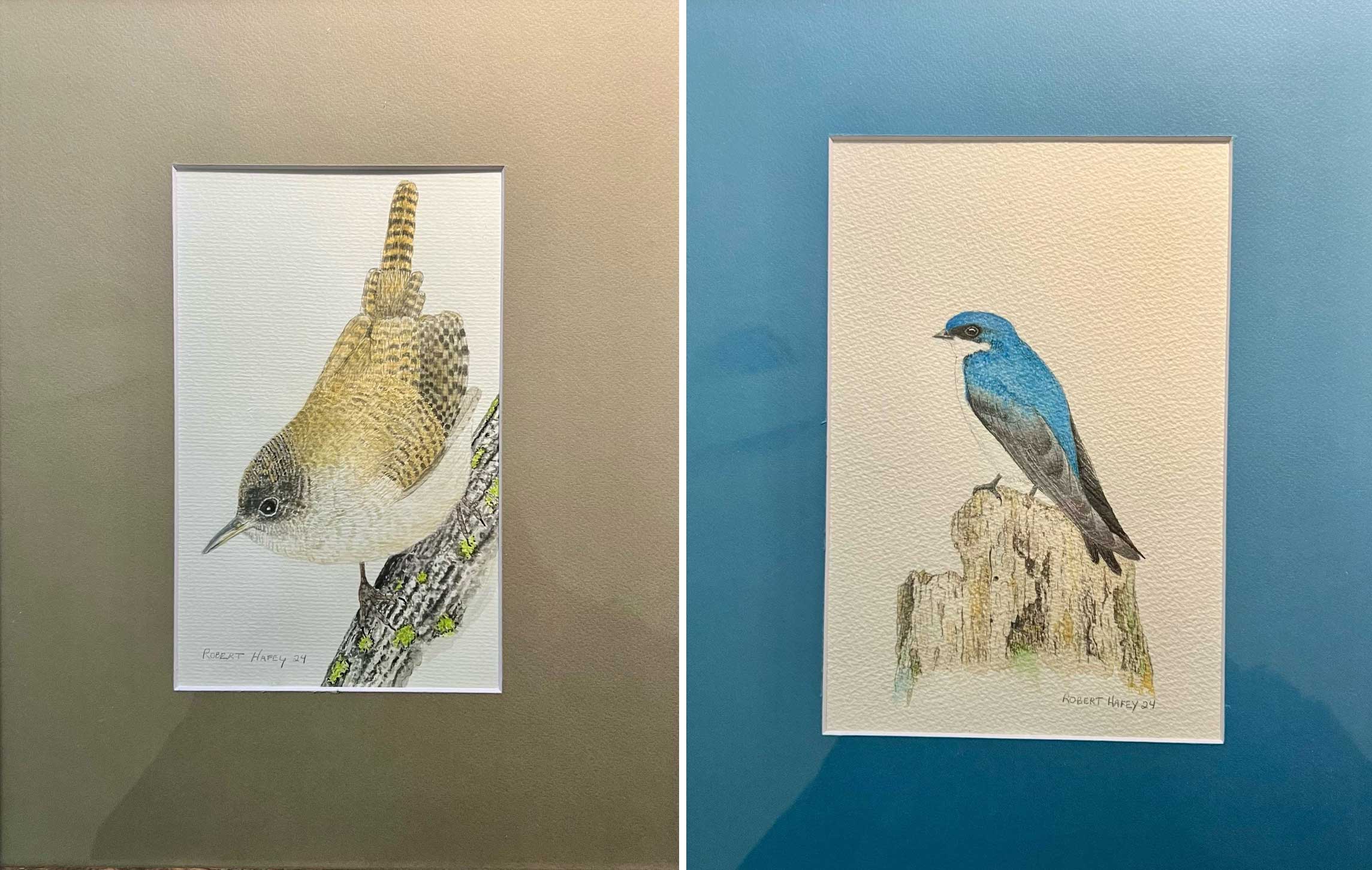 Watercolor images of birds