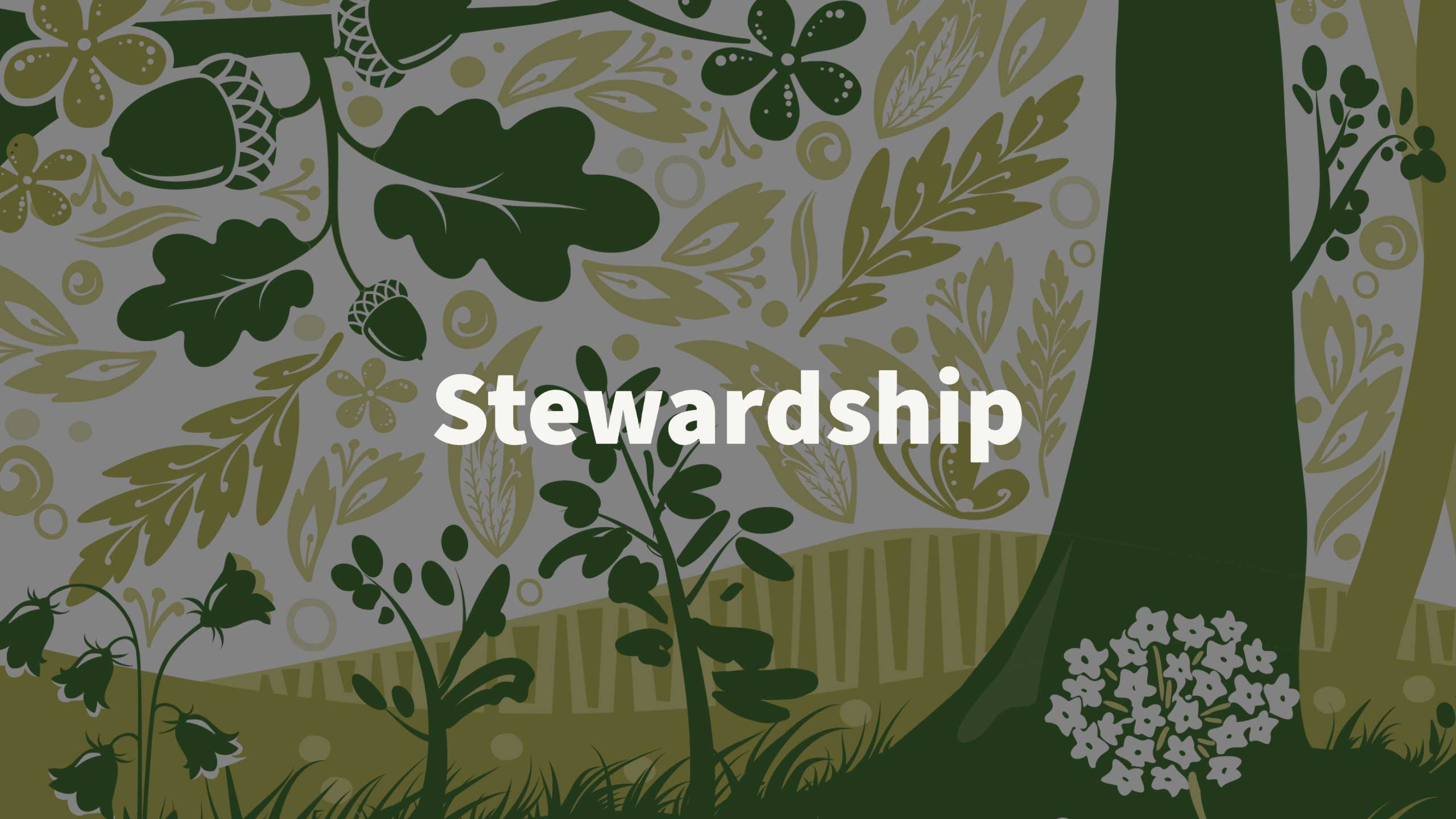 Stewardship