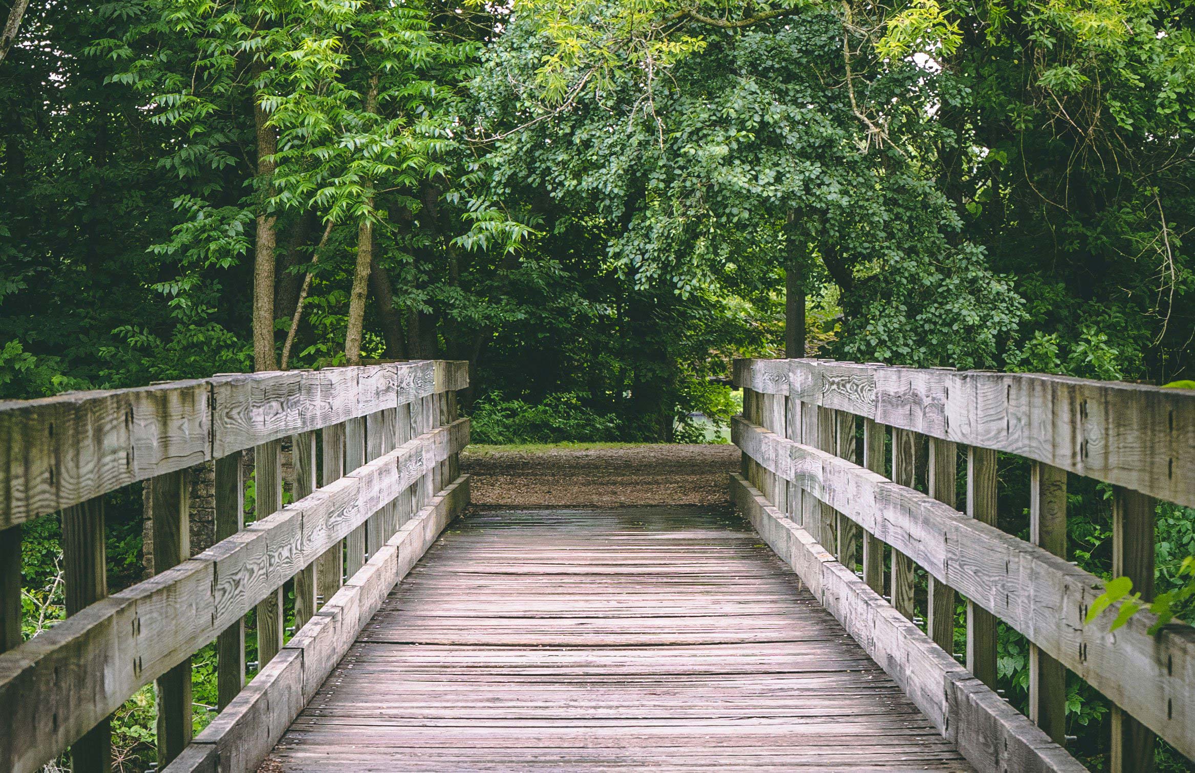 Scenic view of a wood bridge at McKinley Woods