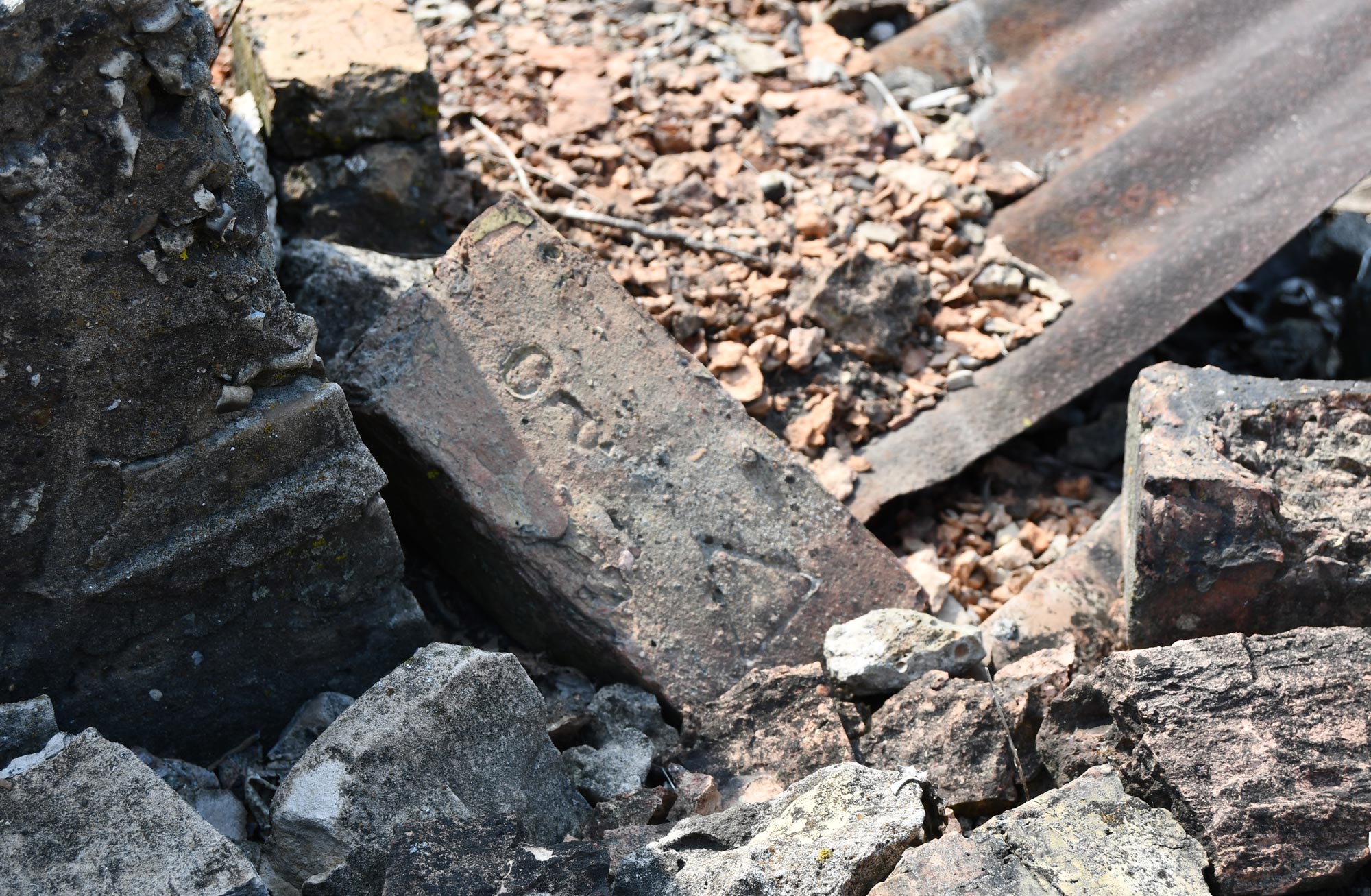 Ruins at Joliet Iron Works.