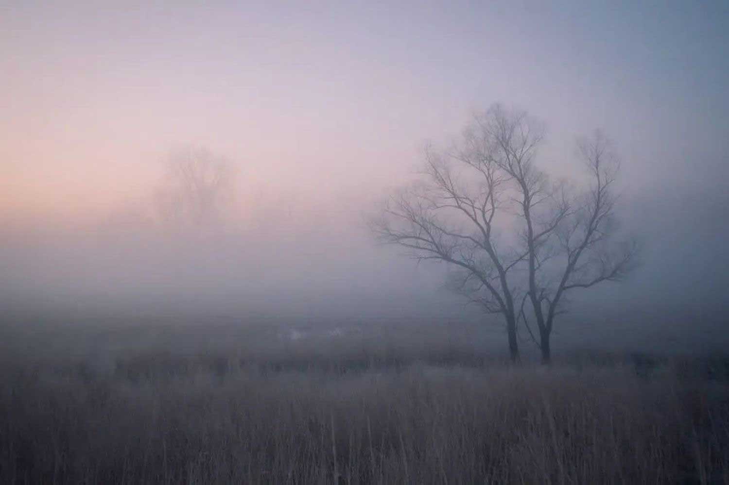  A frost-covered view of a prairie at sunrise.