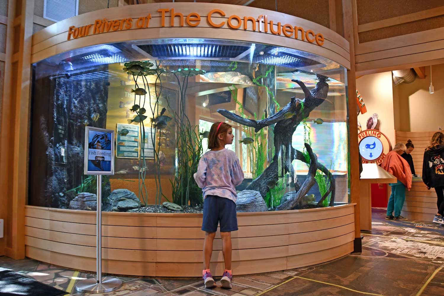 A girl standing on tip toes while looking at a large aquarium.