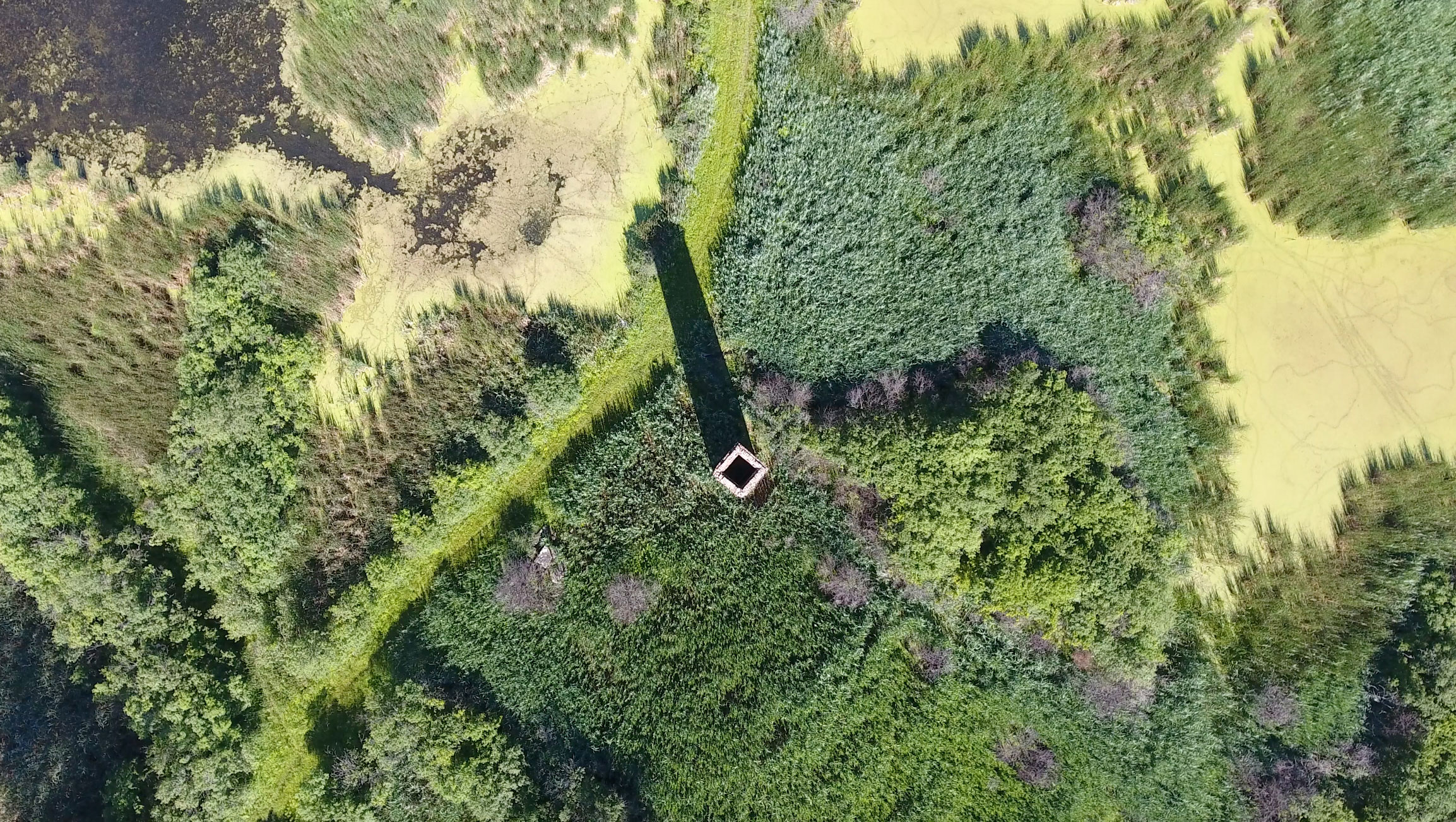 Aerial view of Keepataw Preserve.