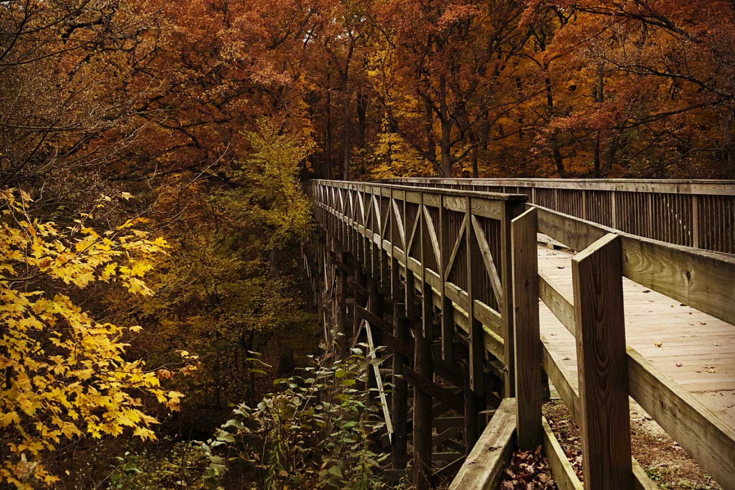 The big bridge along Plum Creek Greenway Trail surrounded by an autumn forest.