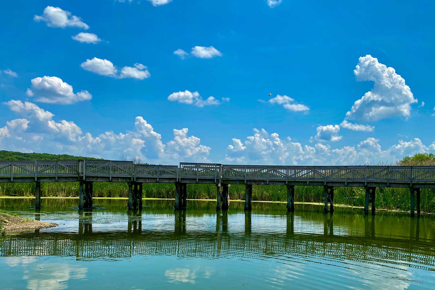 A wooden bridge spanning a waterway with a bright blue sky with sparse puffy white clouds.