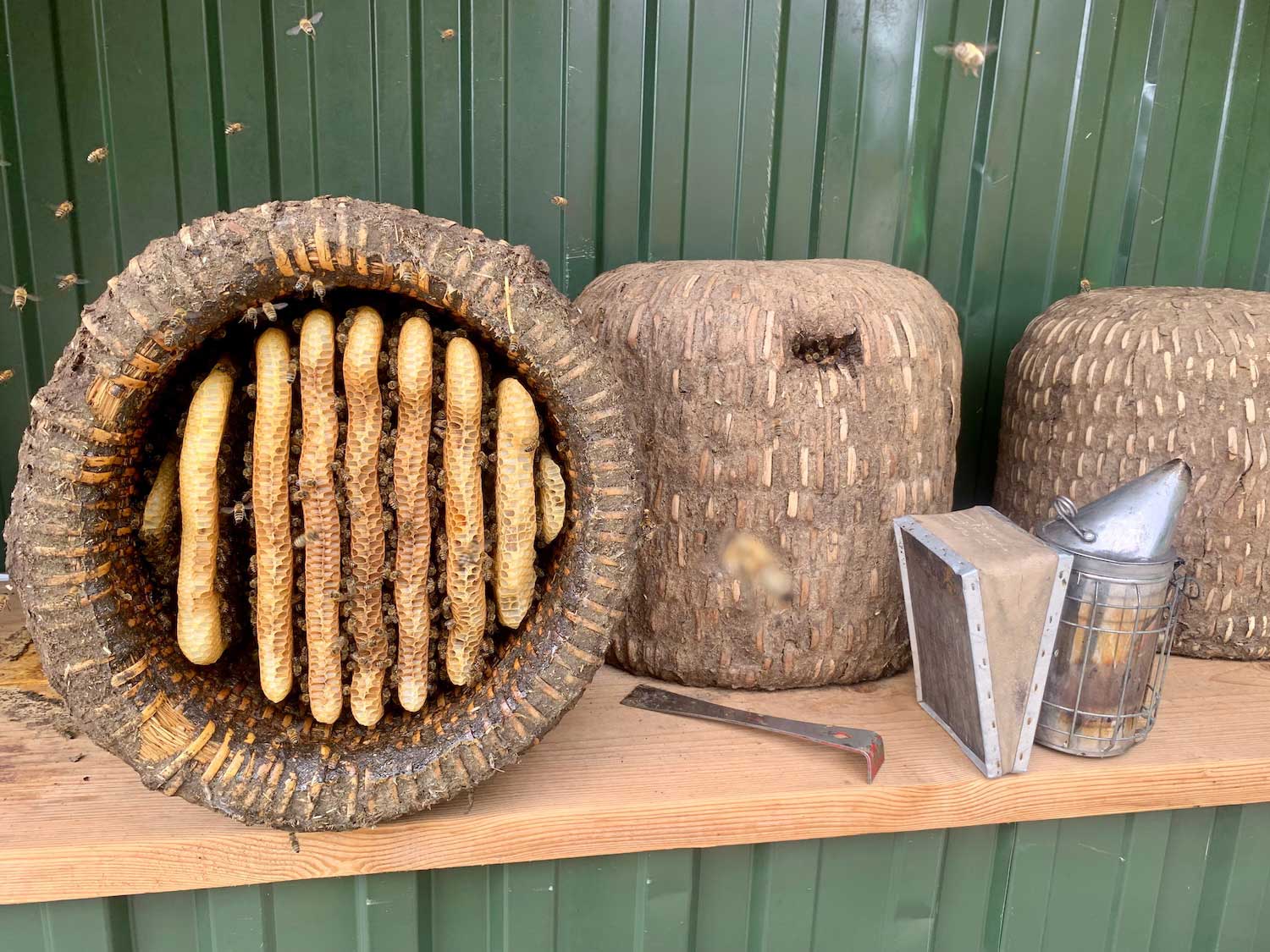 Bees flying around straw skeps, with one skep turned on its side to reveal honeycomb inside.