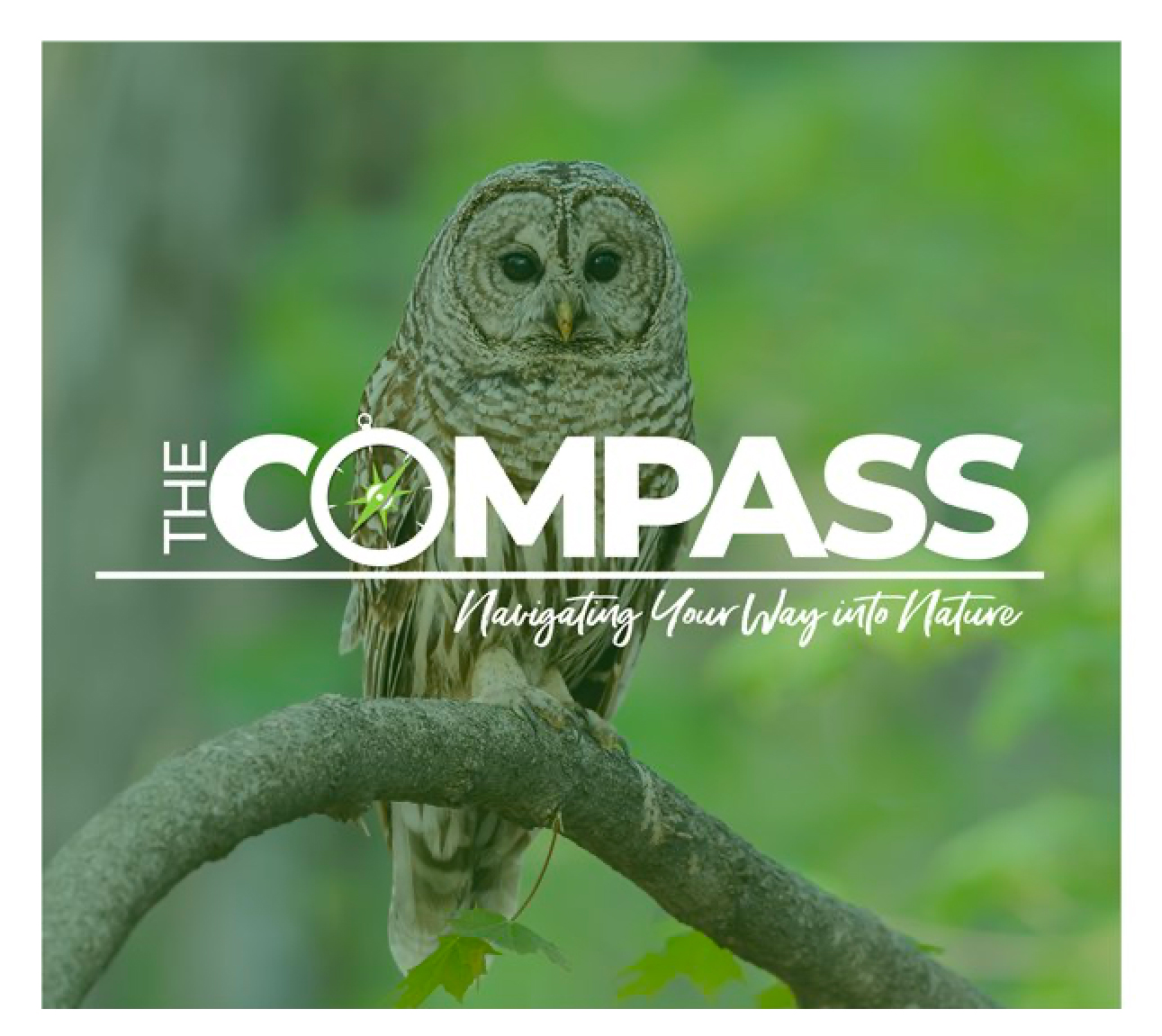 Photo for: Renamed and Refreshed: Compass Newsletter will Help You Navigate Nature