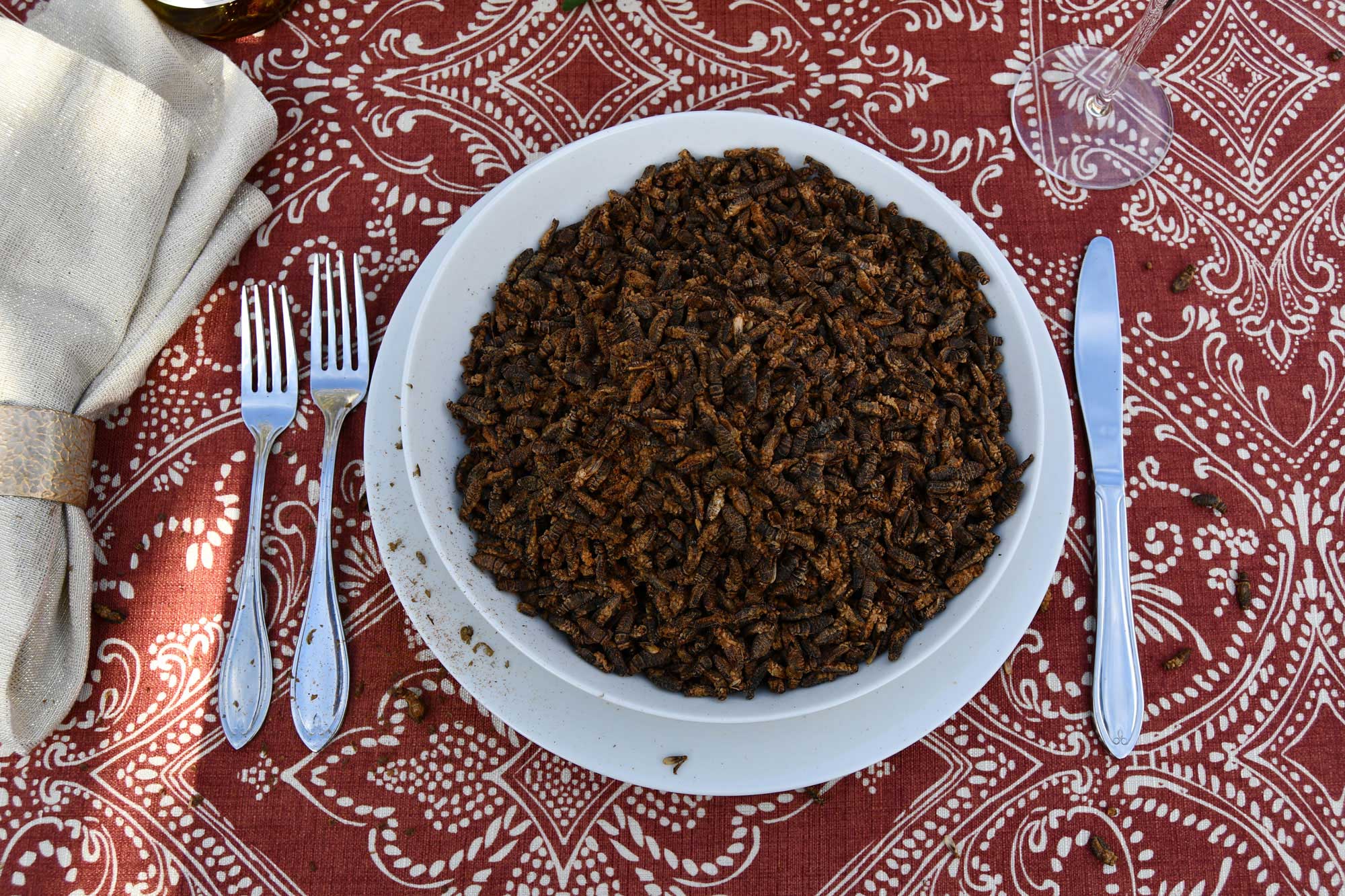A bowl full on bugs on a table setting.