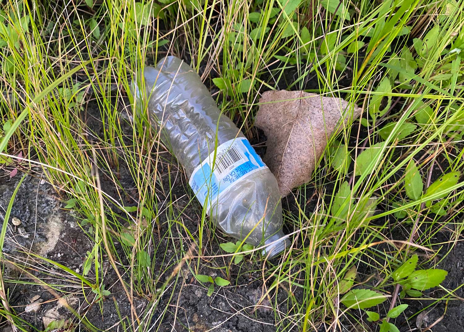 Litter along a trail