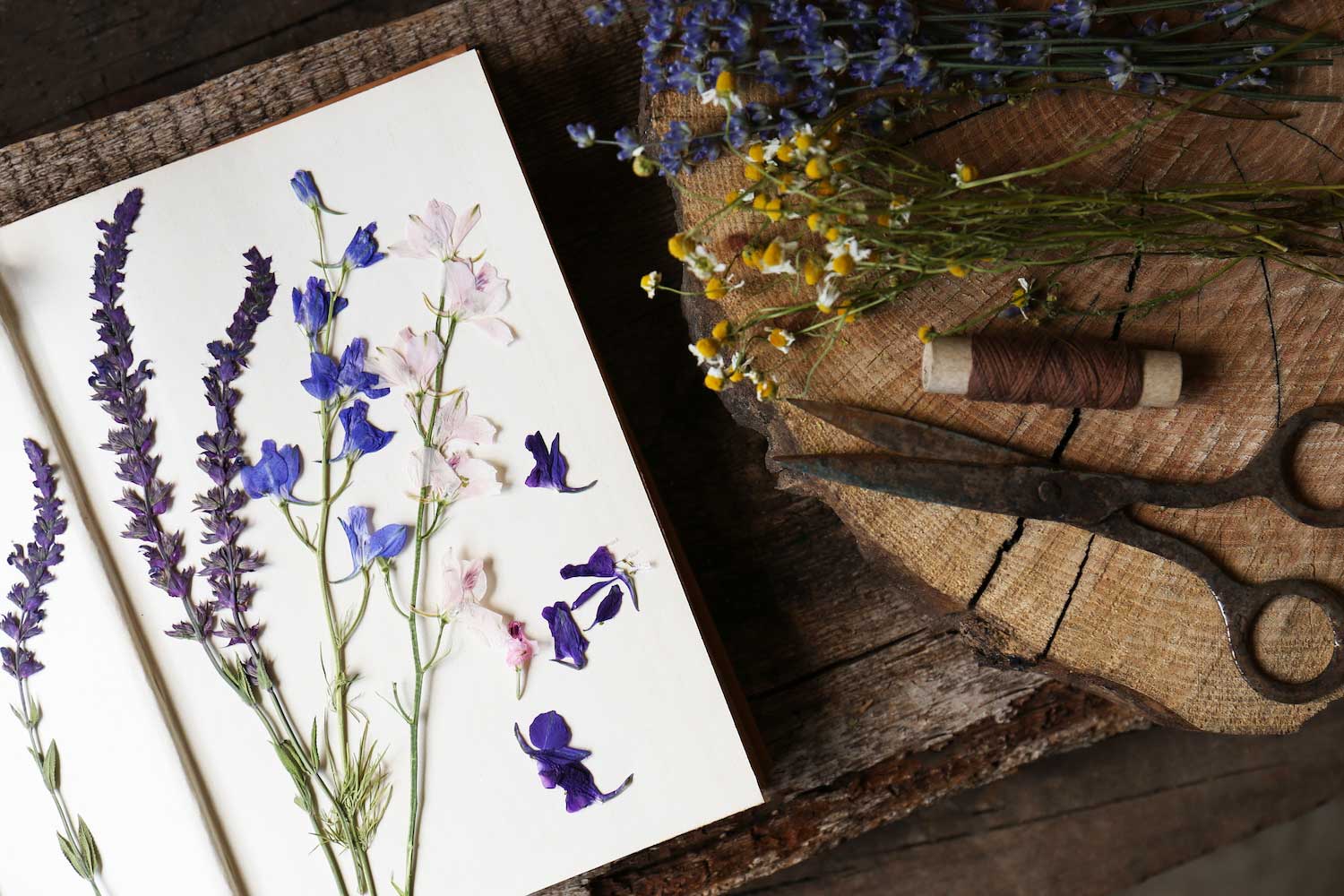 Pressed flowers sitting on the pages of a book with other dried flowers and materials off to the side.