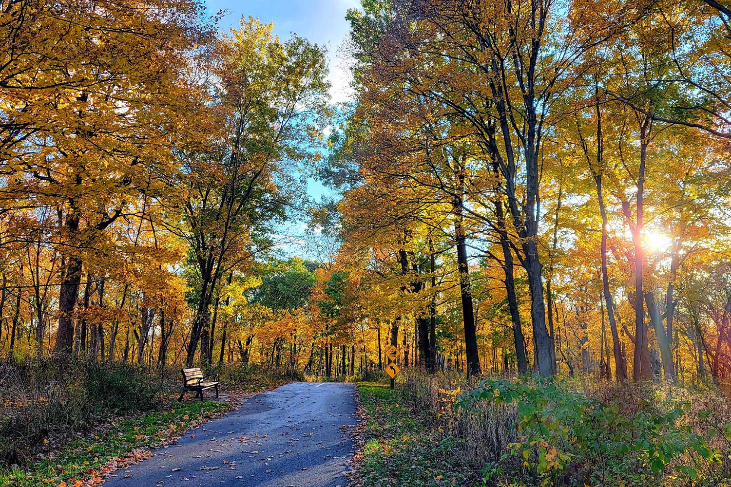 Autumn scenery along the trail at Hickory Creek Preserve.