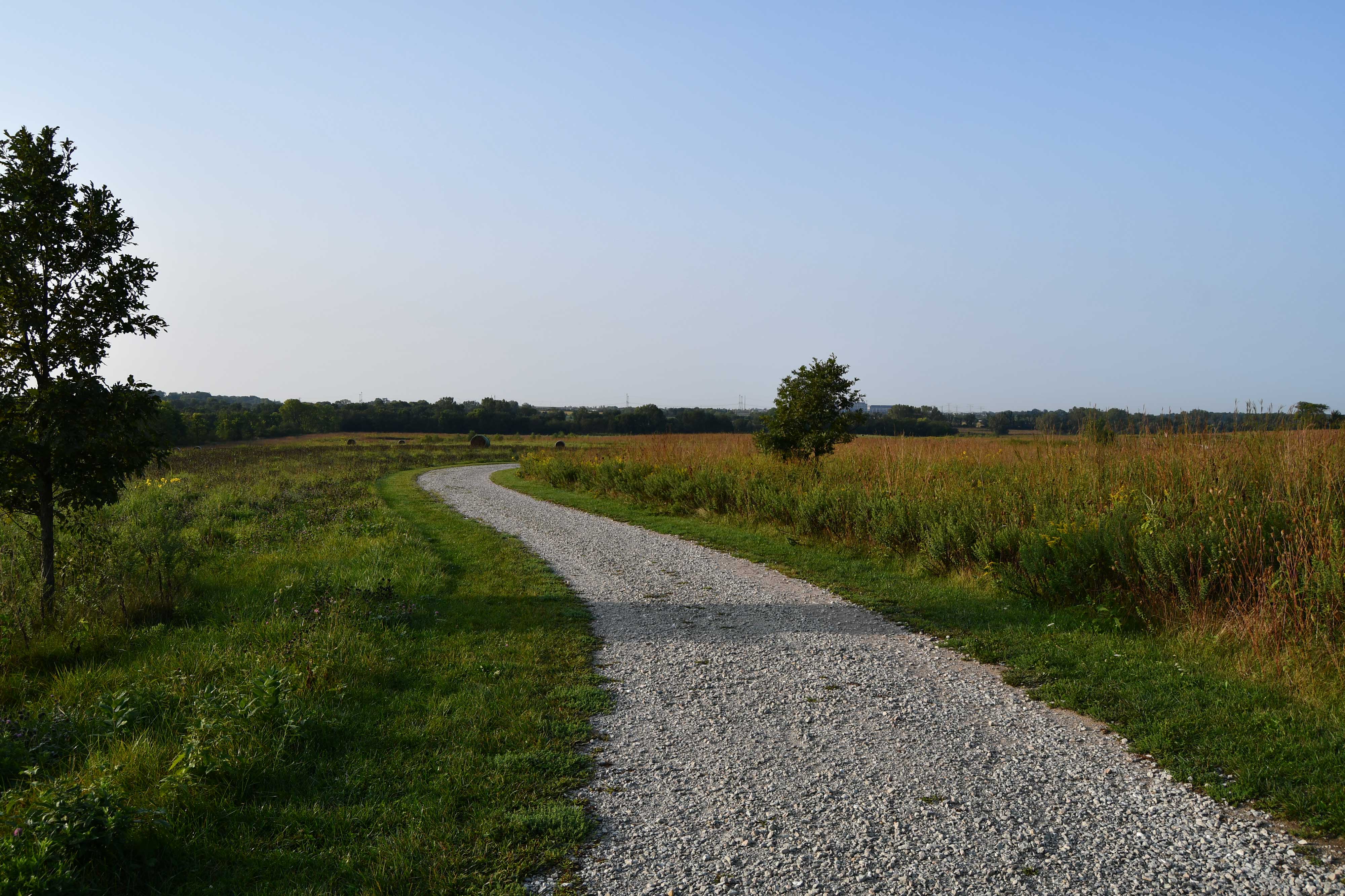 Trail at Hadley Valley.