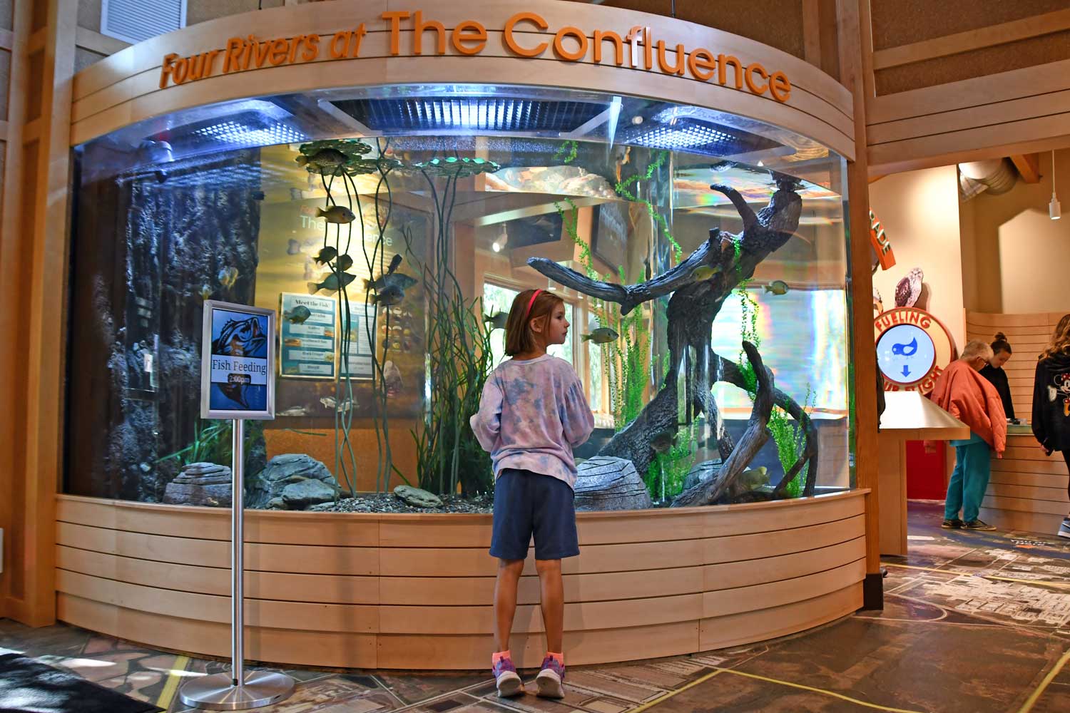 Young girl standing in front of large fish tank