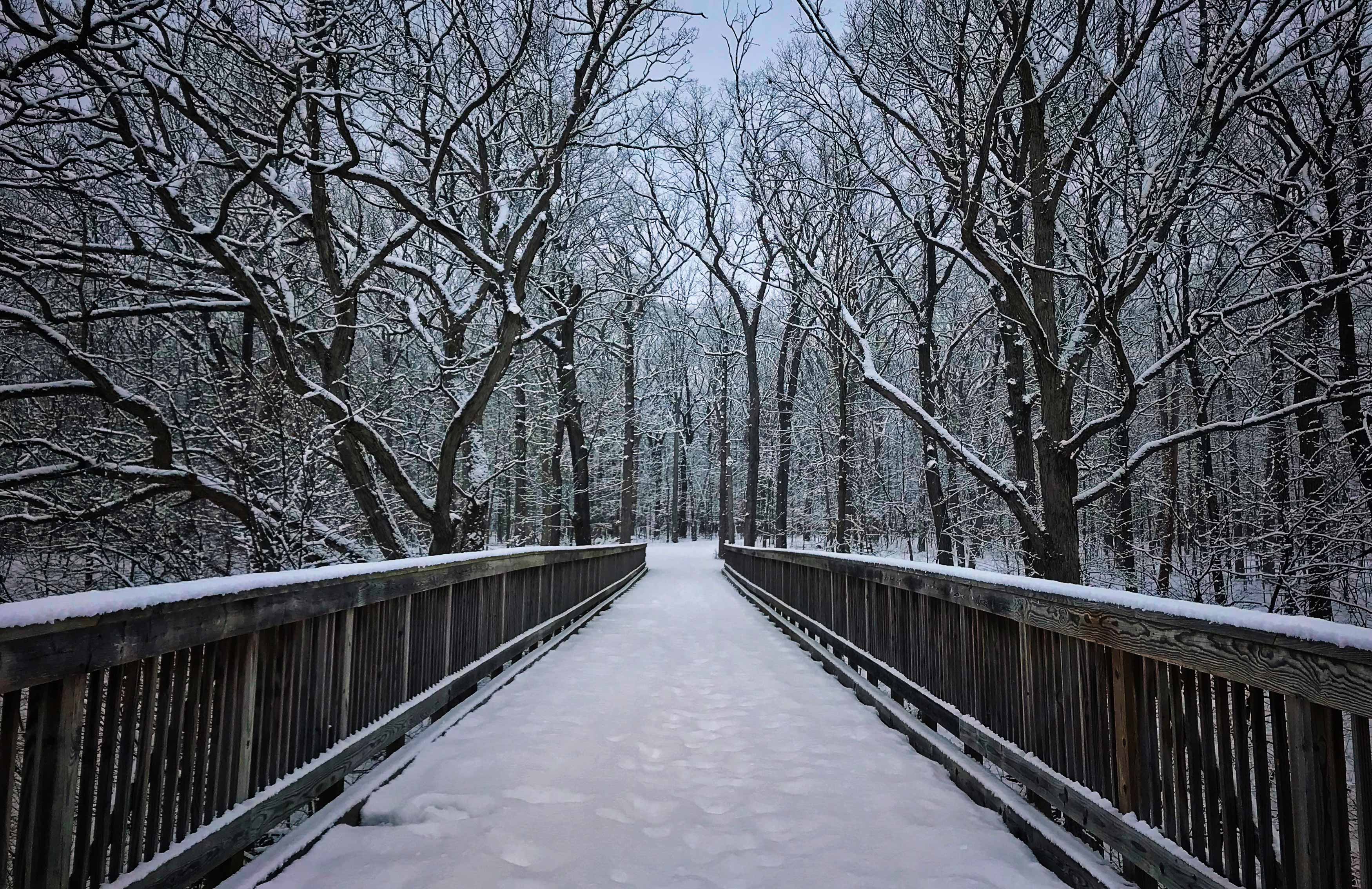 Winter scenery at the big bridge.