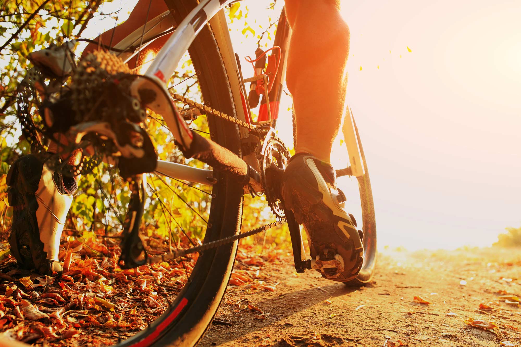 The tires of a bike as seen from the ground.