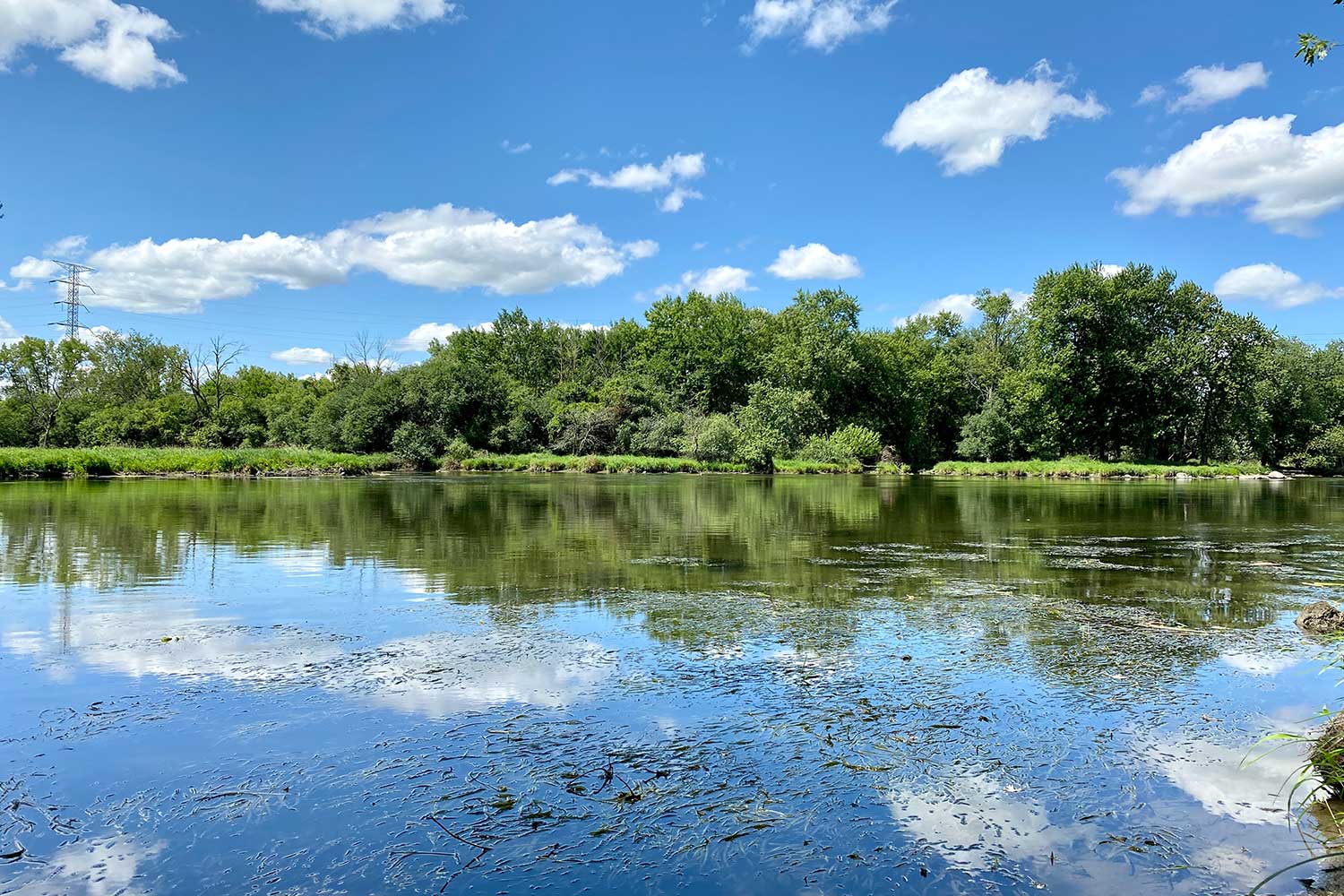 A river reflecting the trees along the shore and the bright blue sky and scant puffy clouds above.