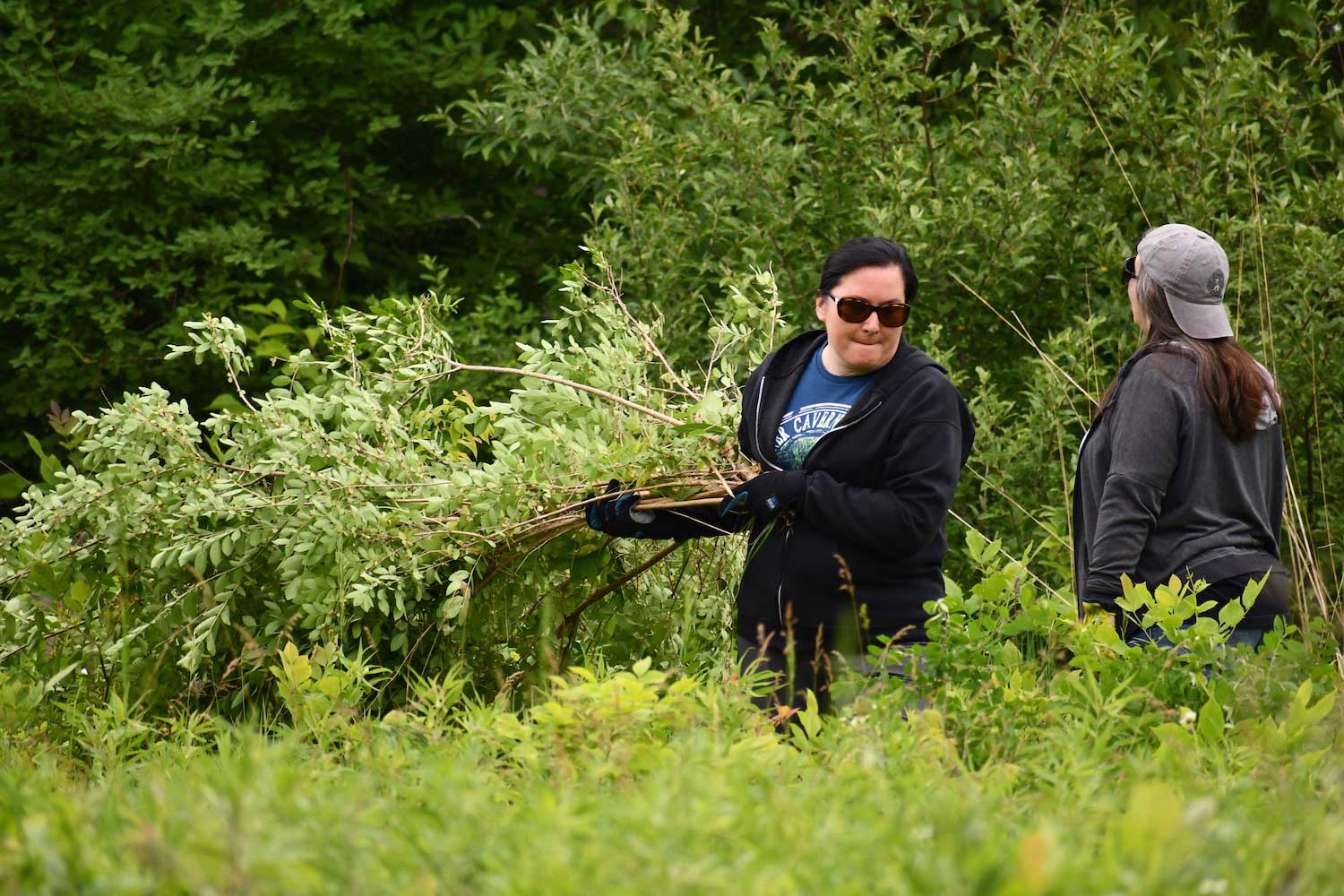 A person hauling large branches across the ground.
