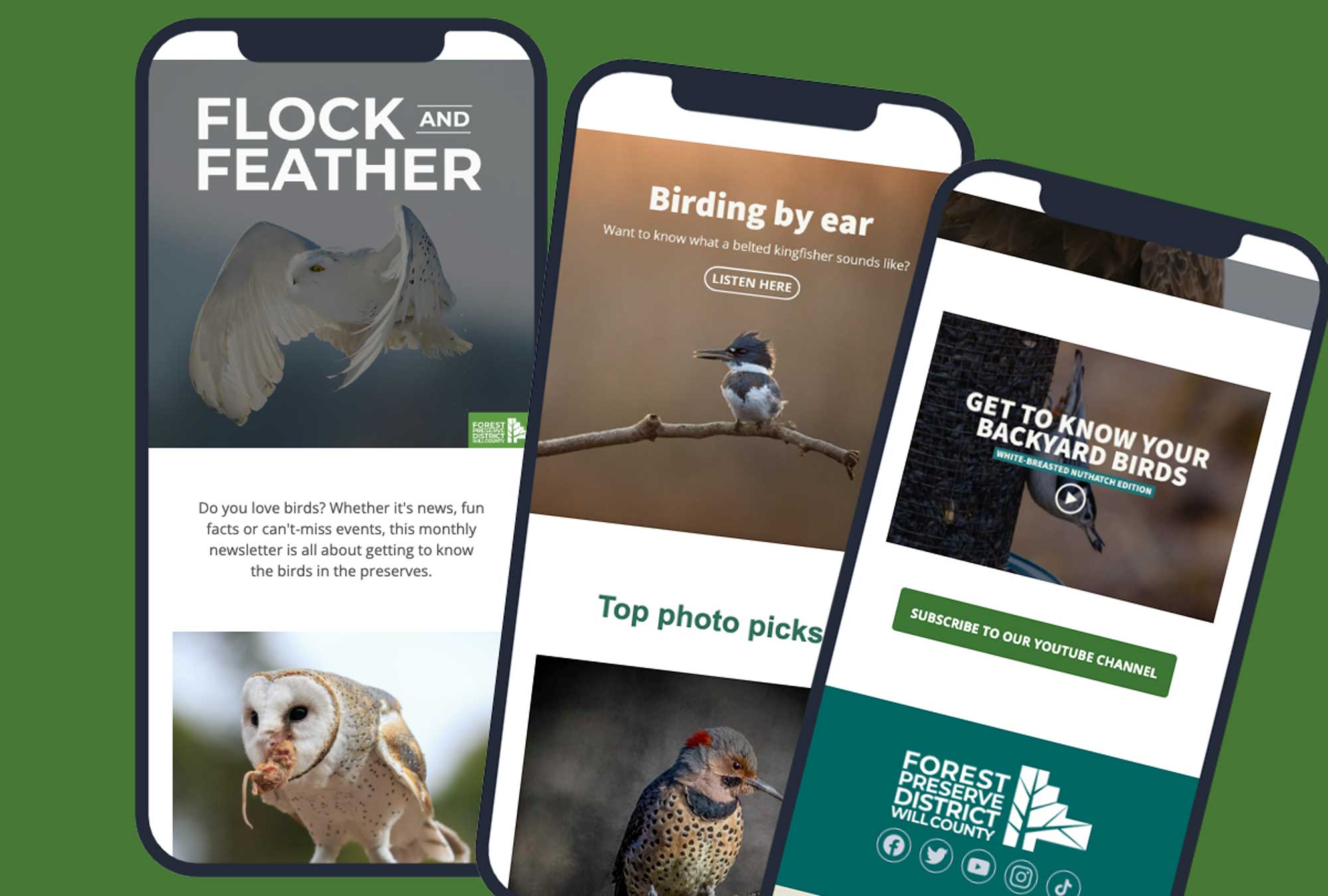 Screen images from digital newsletter on birds