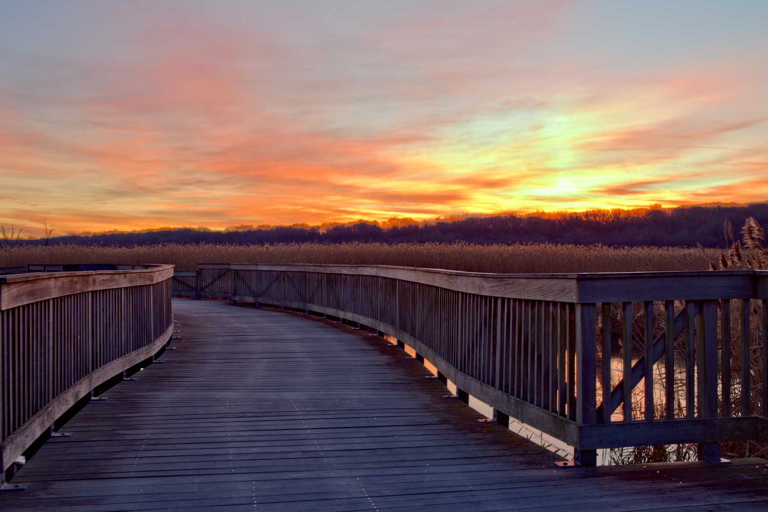 The sun setting behind trees and dried grasses with a long wooden bridge in the foreground.