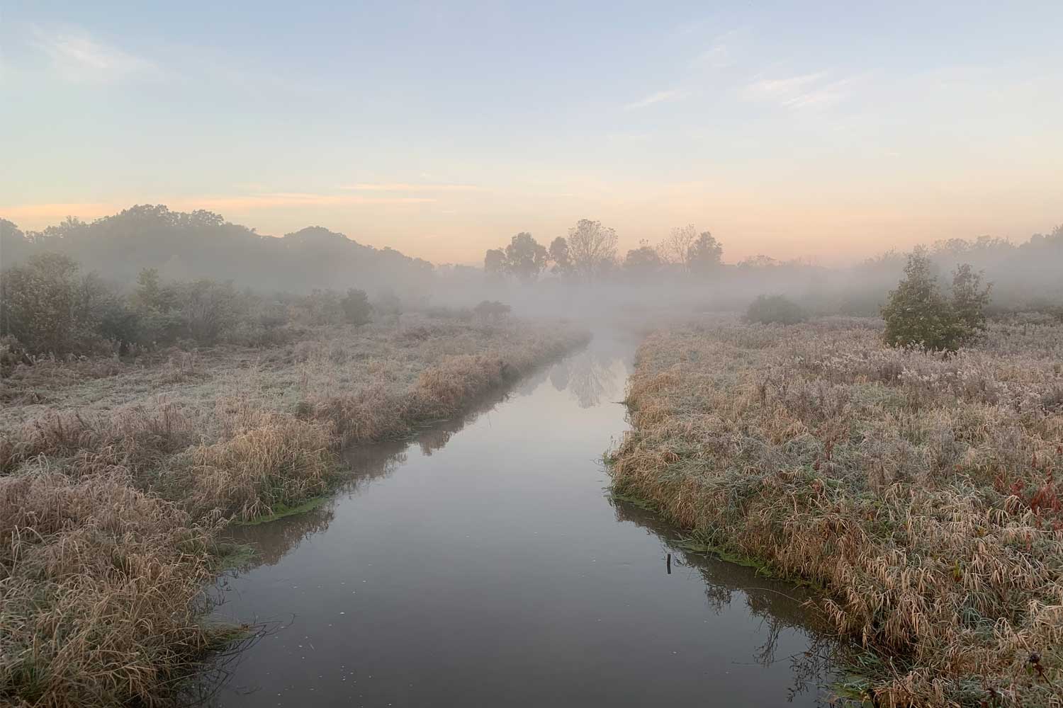 Creek surrounded by grasses and fog.