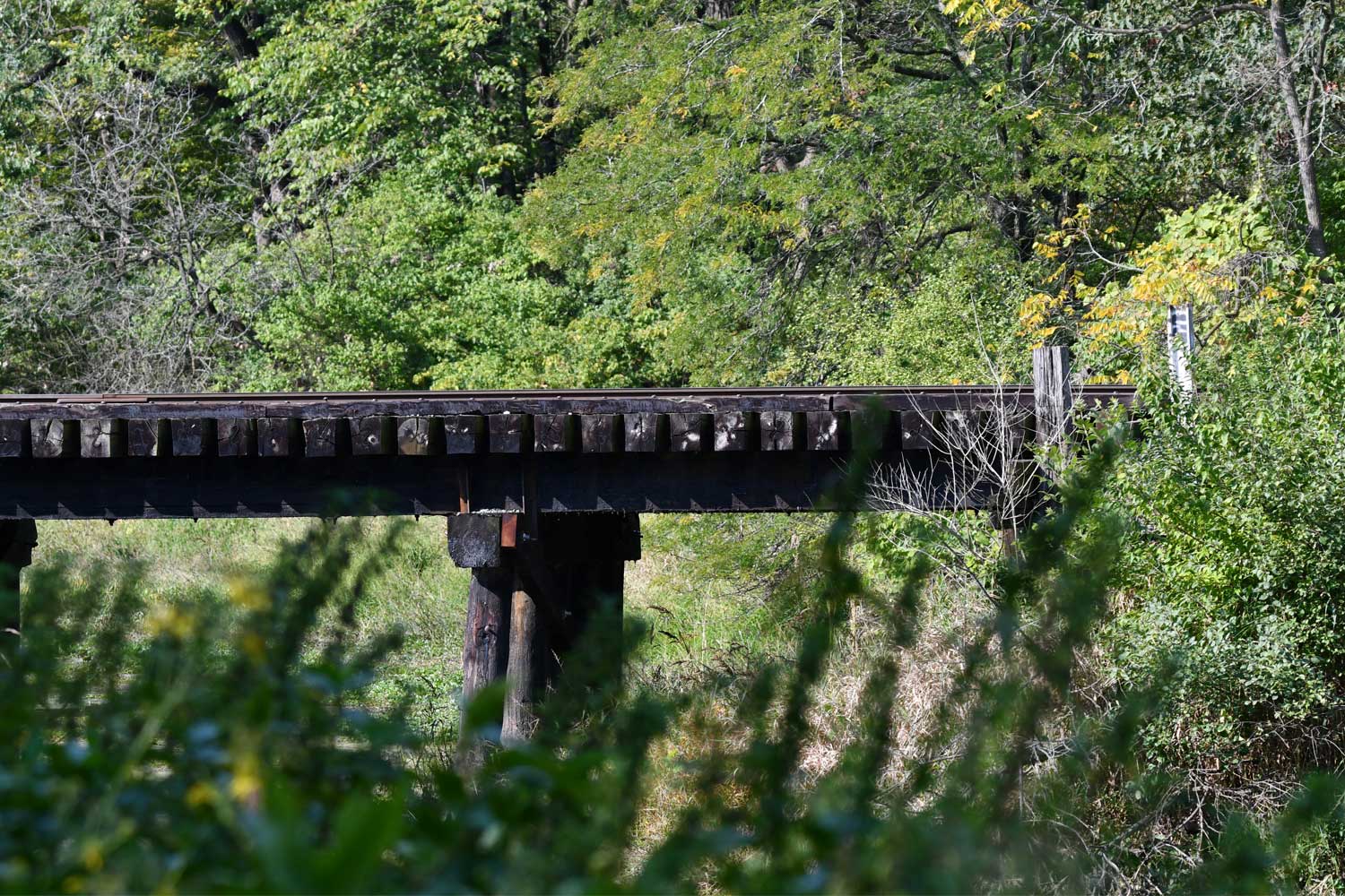 Railroad tracks along a trail.