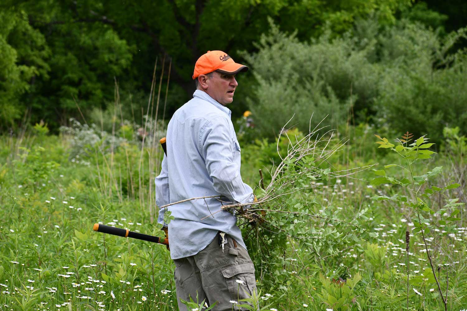 A person carrying brush through tall grasses.