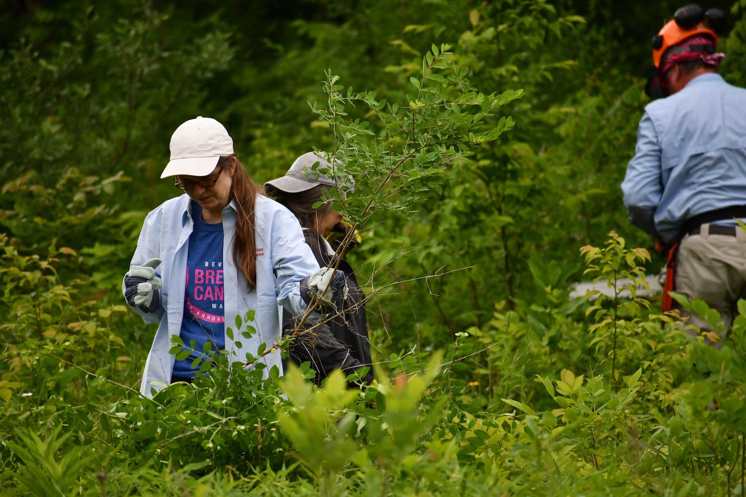 A person carrying a just cut plant in their hand while two others work in the background.