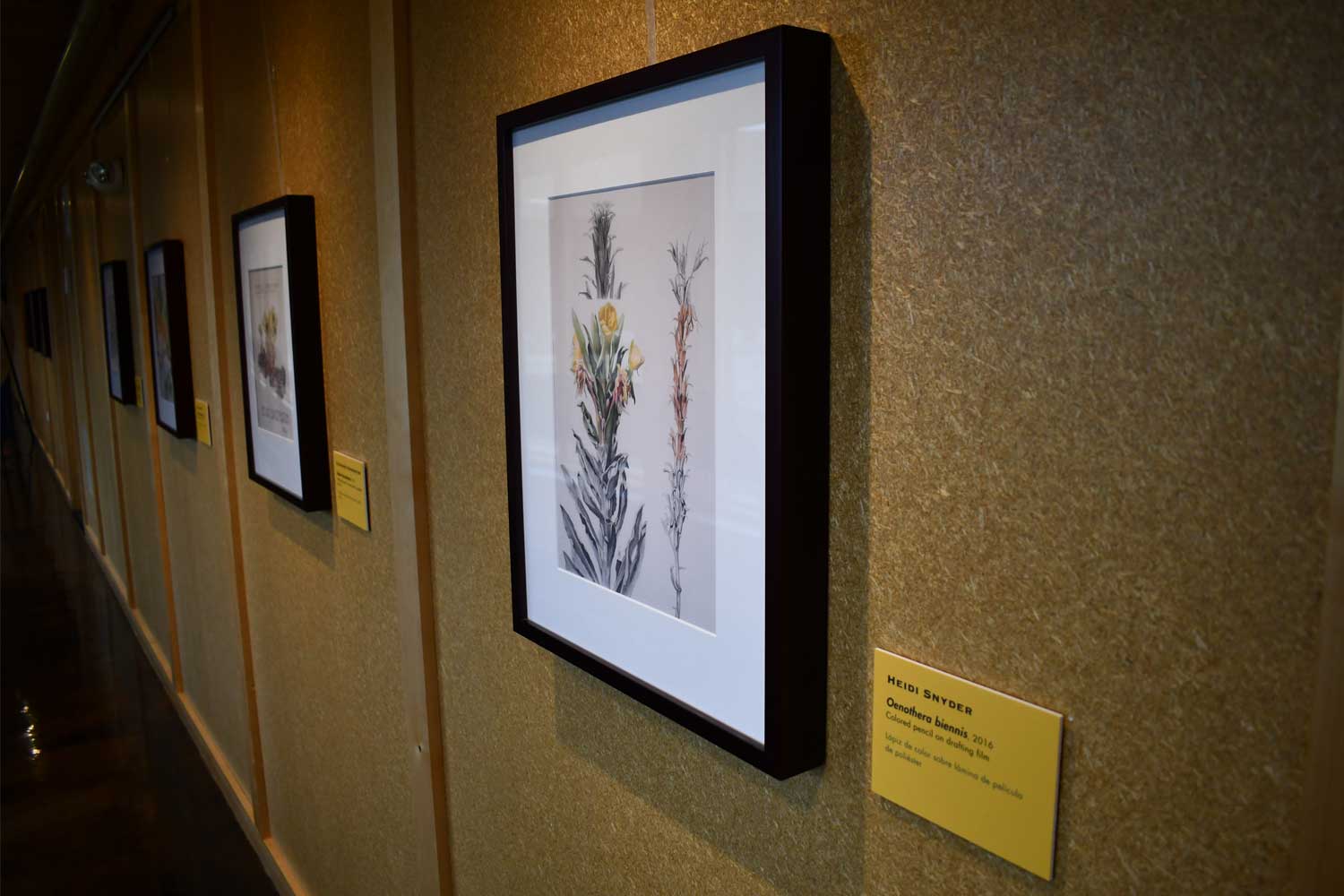 Exhibit photos lining a hallway.