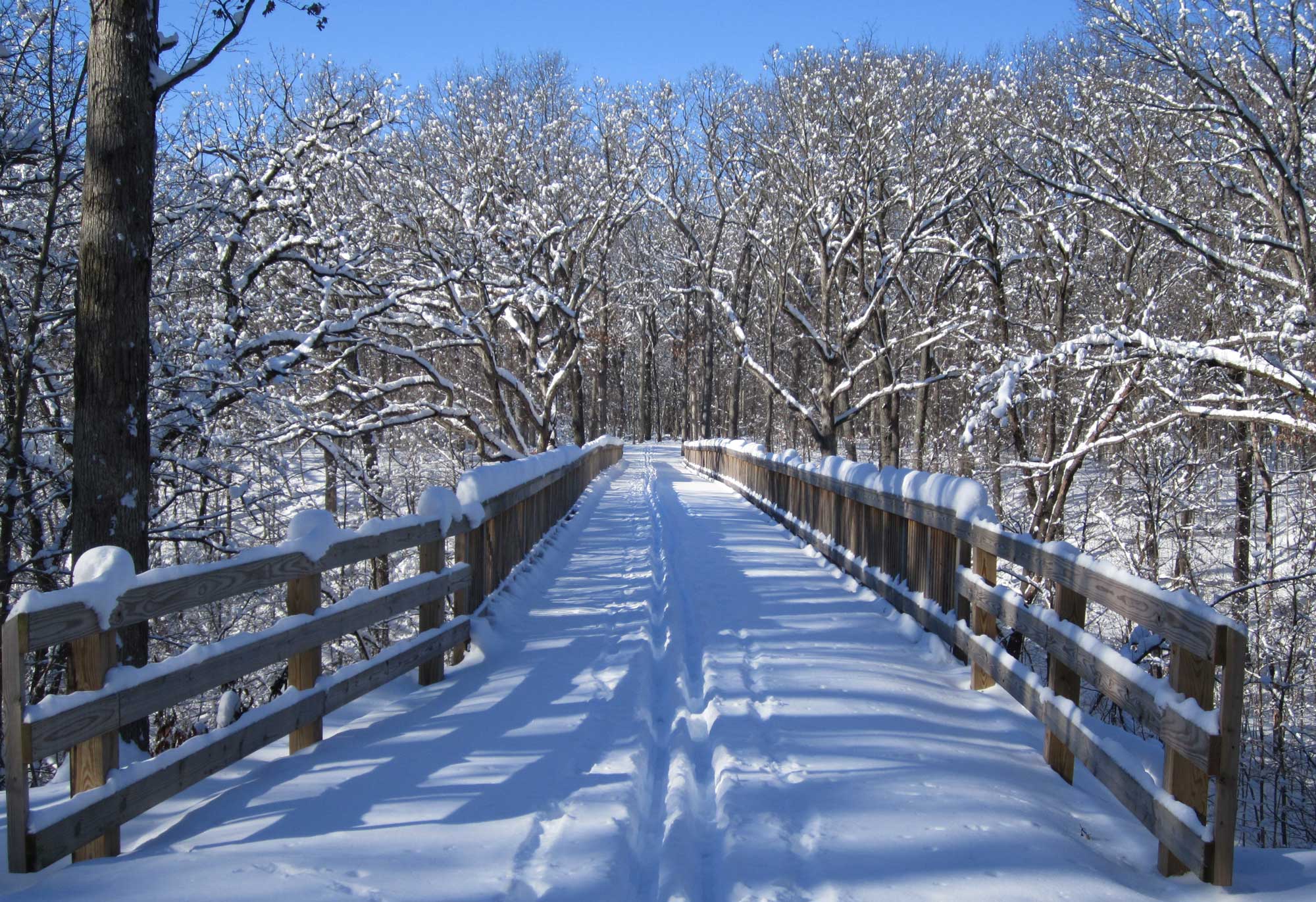 A snow-covered trail bridge.