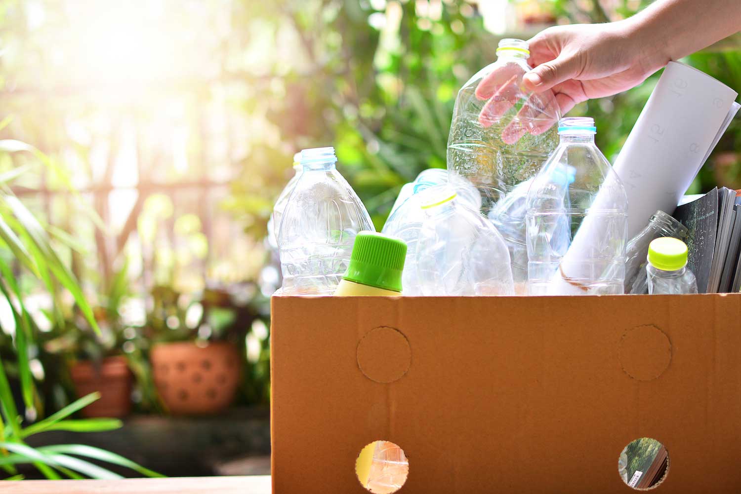 A cardboard box full on plastic bottles to be recycled.