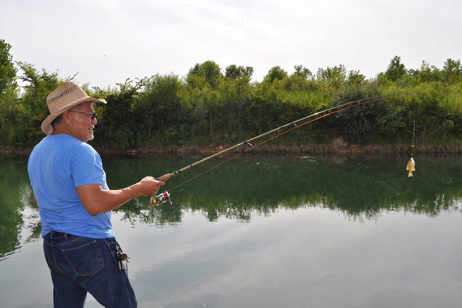 A person fishing along the shore with a small fish at the end of the pole.
