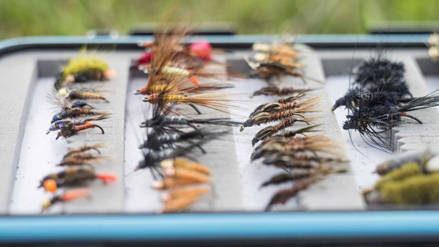 a large collection of fly-fishing lures organized in rows.