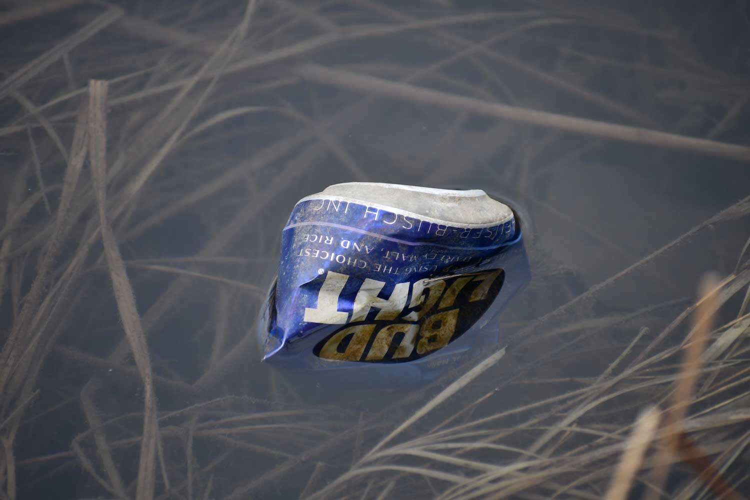 A beer can in the water.