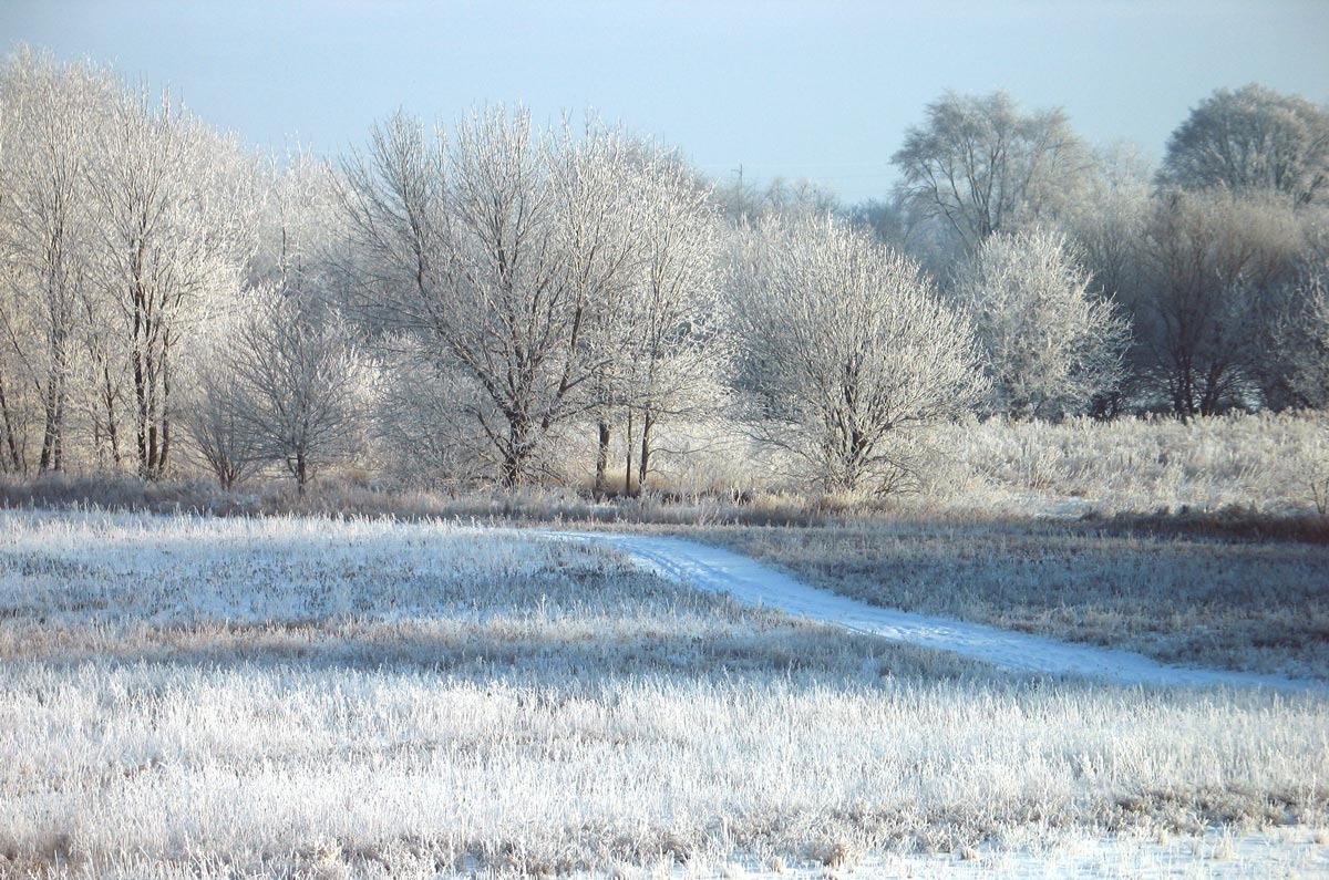 A winter landscape dusted with a light layer of snow.