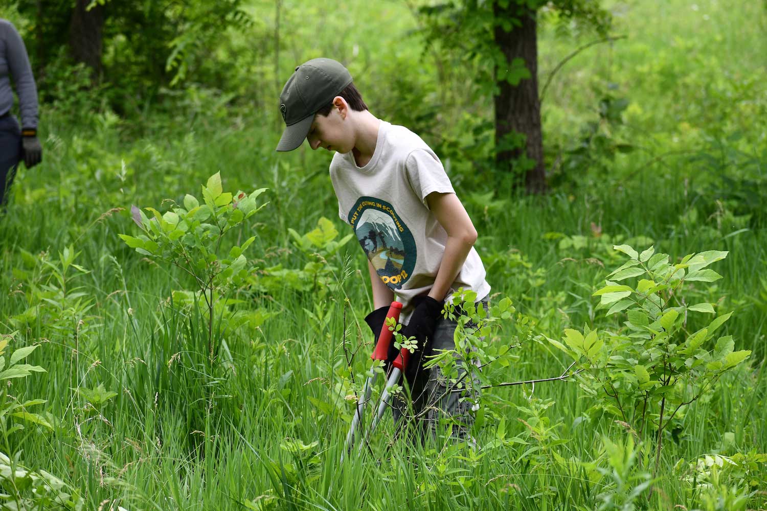 A person carrying loppers while clearing vegetation in a grassy area.