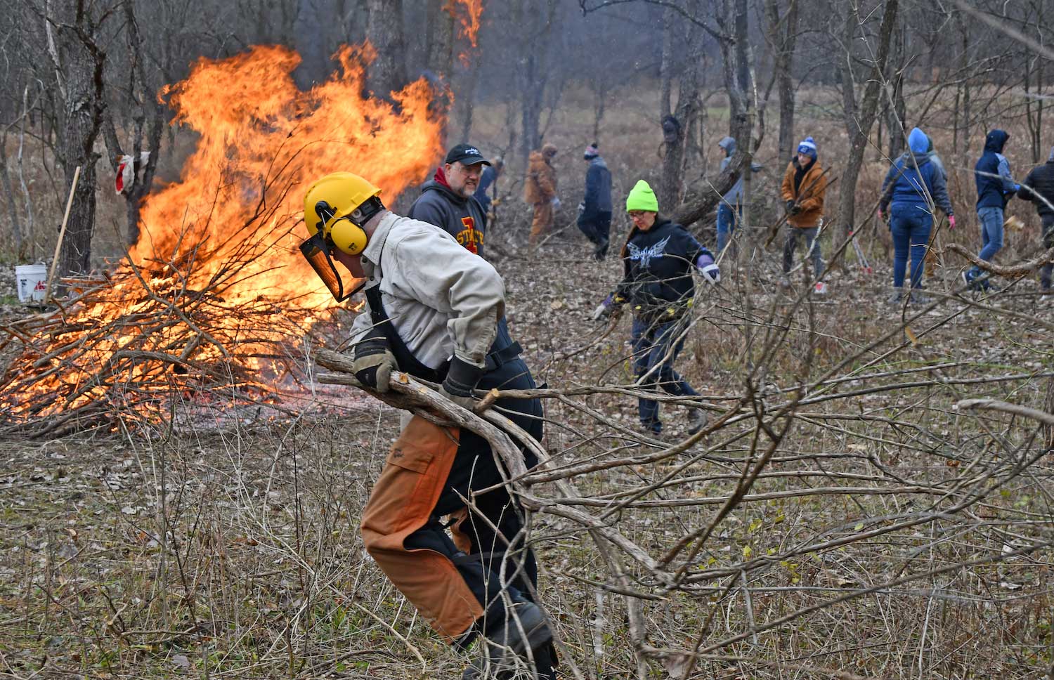 A person hauling branches while a brush pile burns in the background.