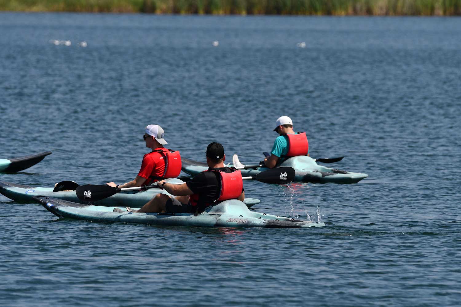 Three kayakers paddling on a lake.