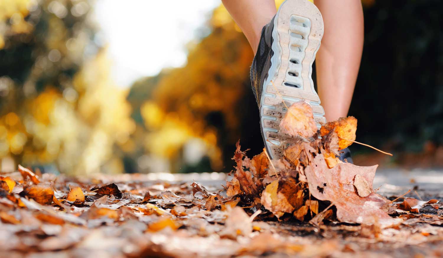 A closeup of feet running across a leaf-covered trail.