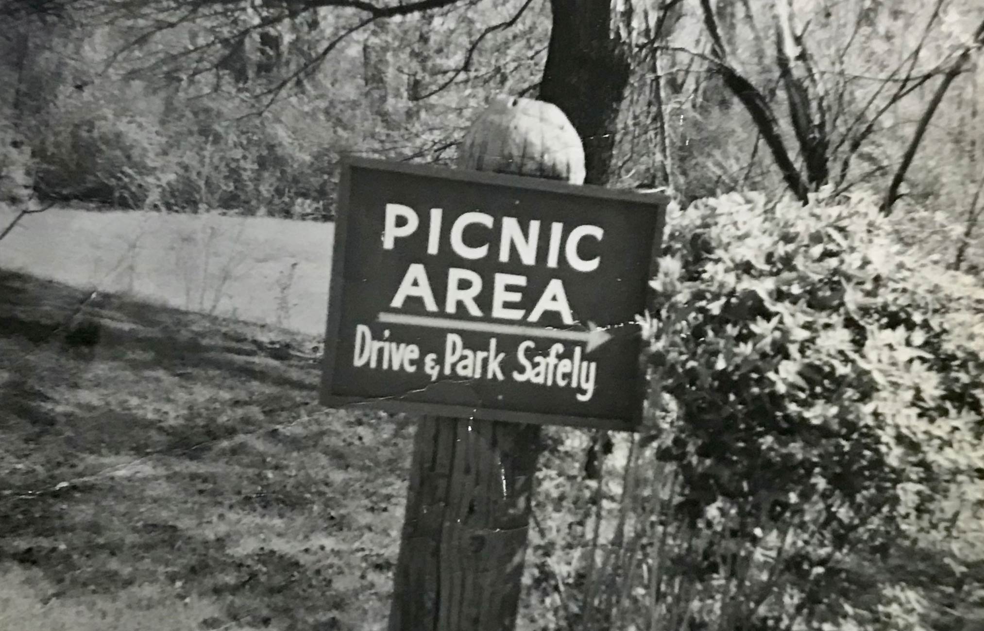 Picnic Area Directional Sign (1964)