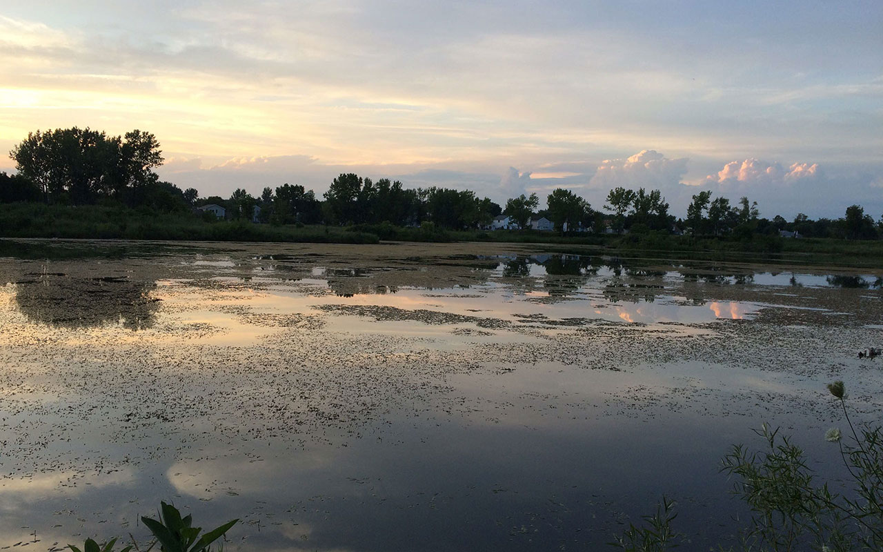 A sunset at Rock Run Preserve.